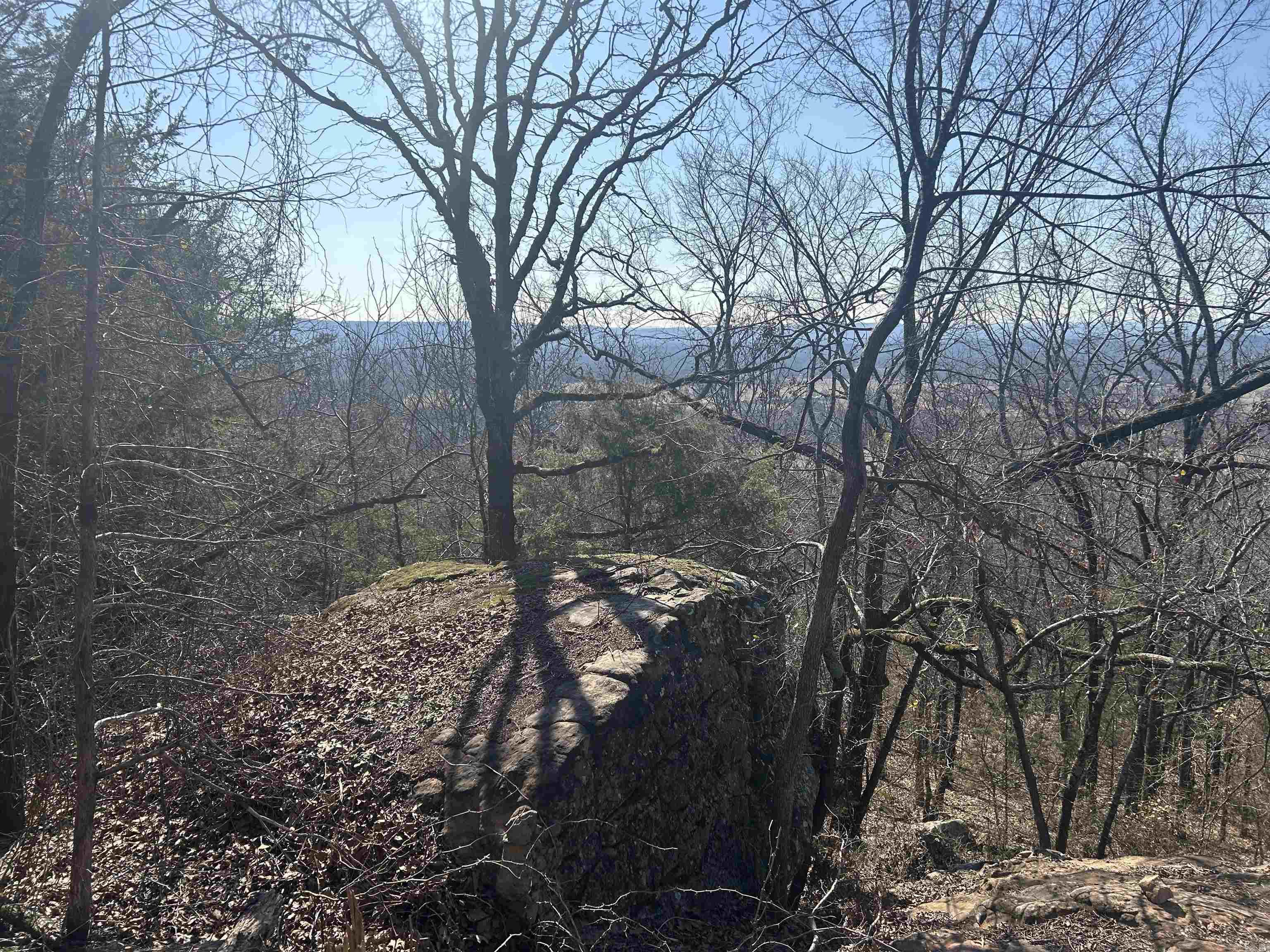 536  Leonard Lane  Pottsville, AR