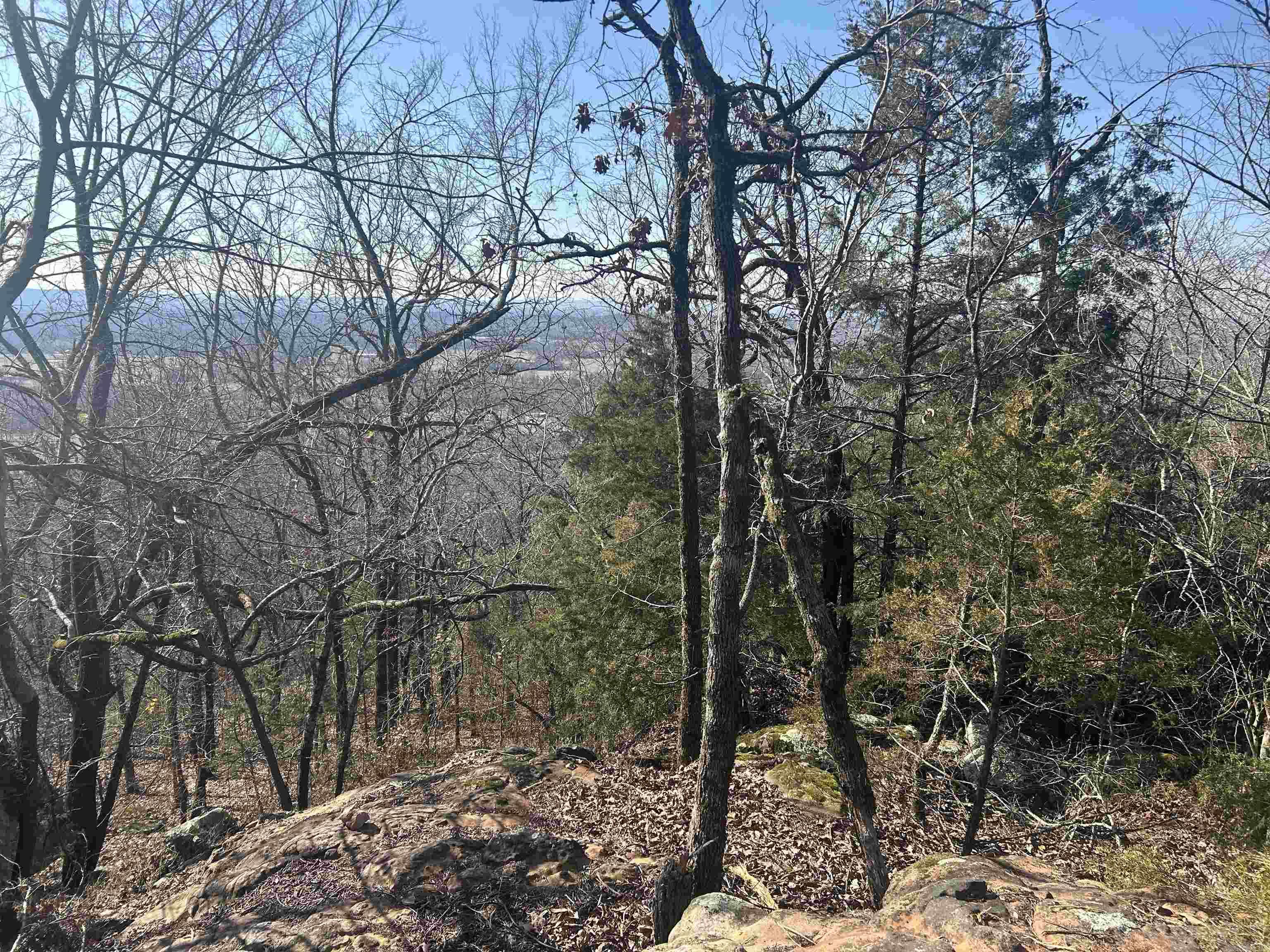 536  Leonard Lane  Pottsville, AR