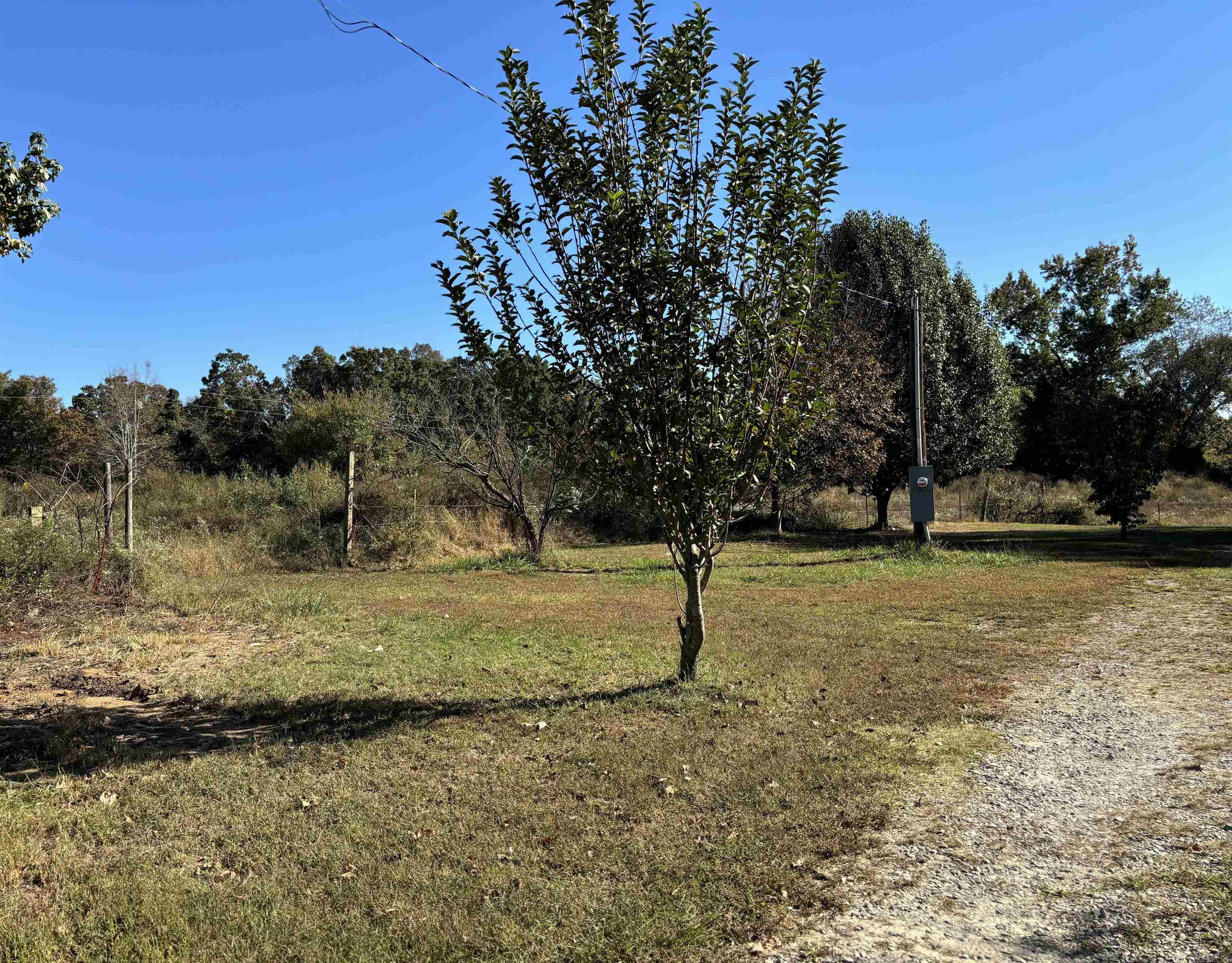 219  Reames  Romance, AR