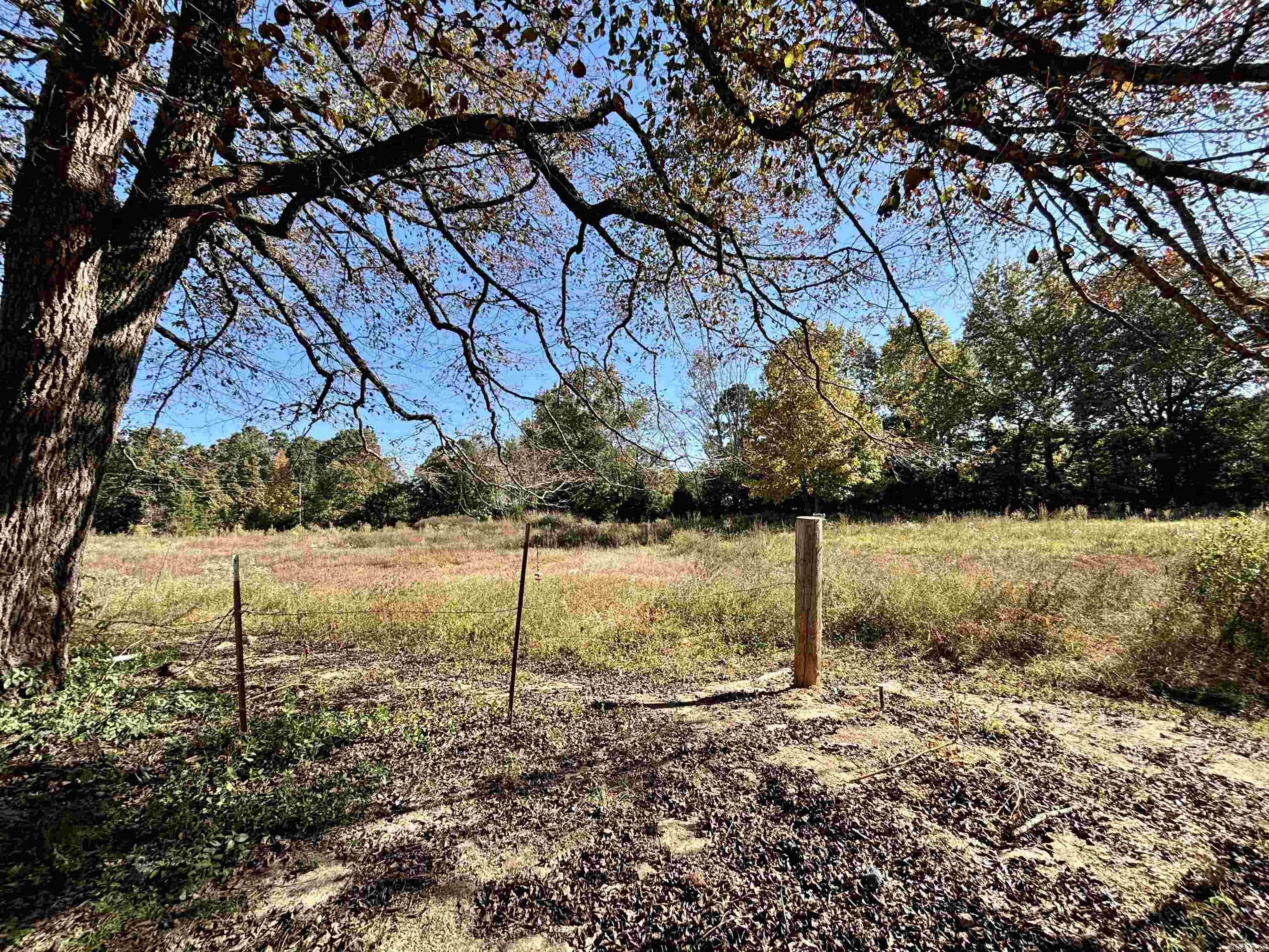 219  Reames  Romance, AR