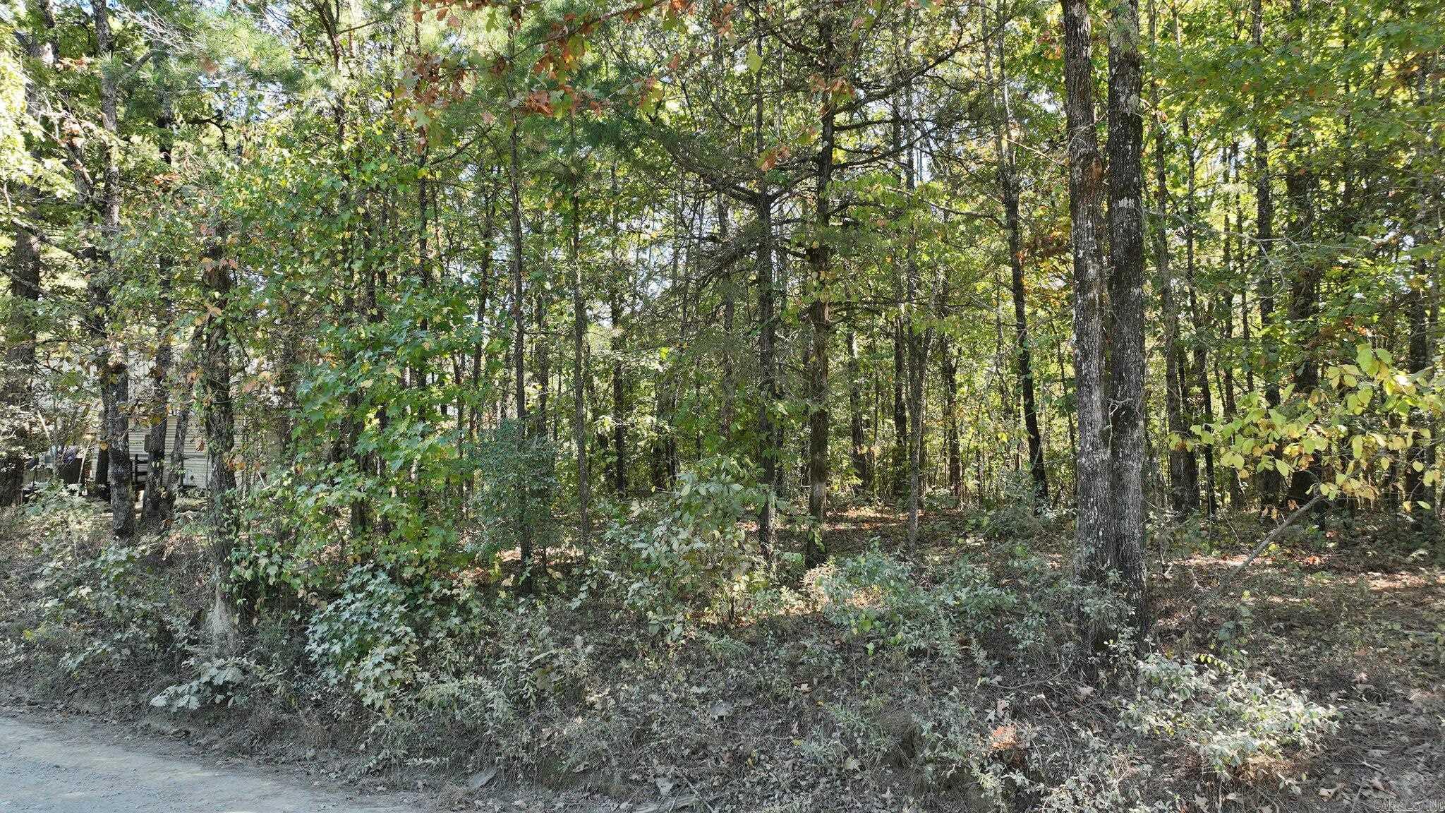 TBD  Polk Road 257  Wickes, AR
