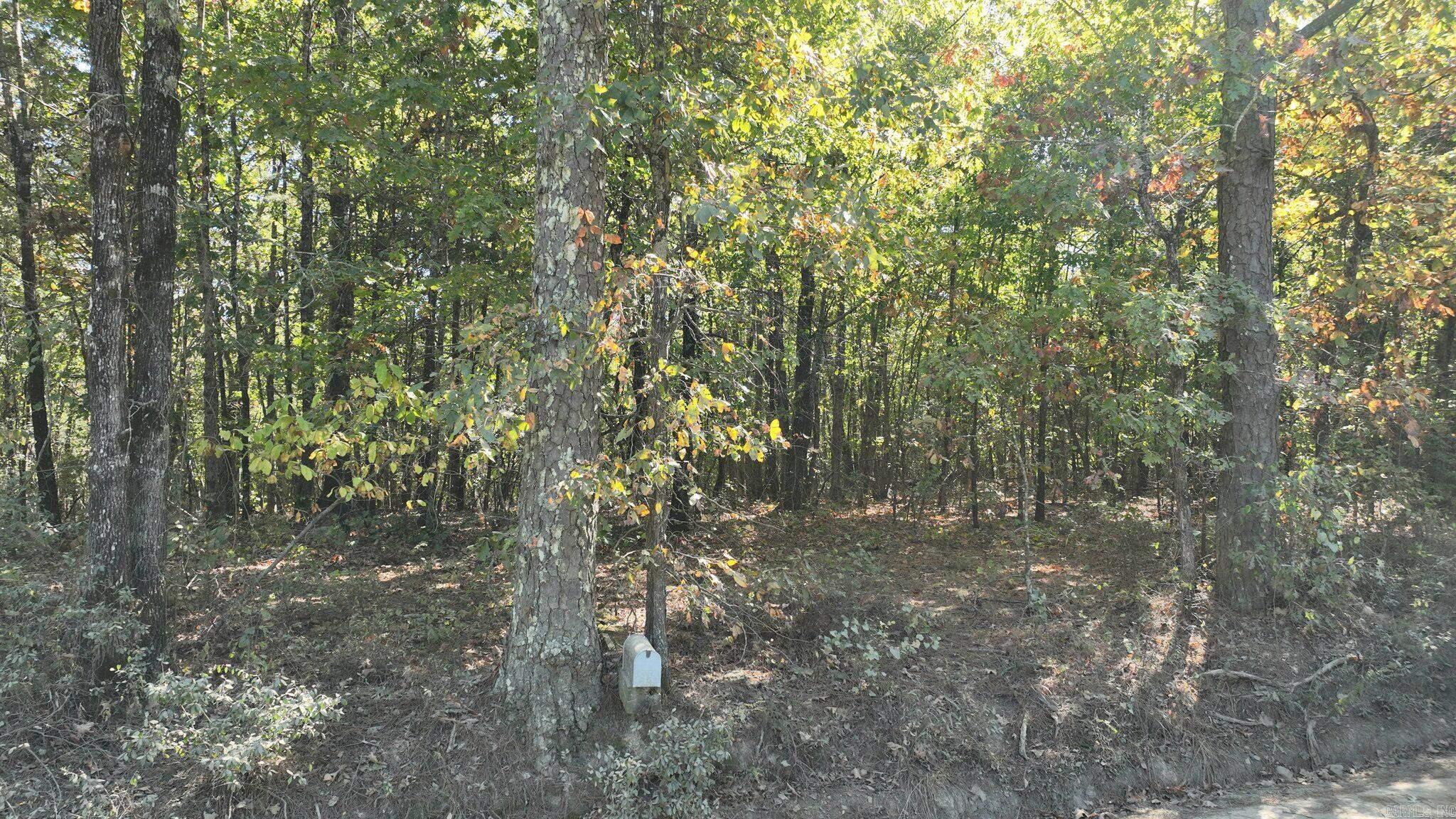 TBD  Polk Road 257  Wickes, AR
