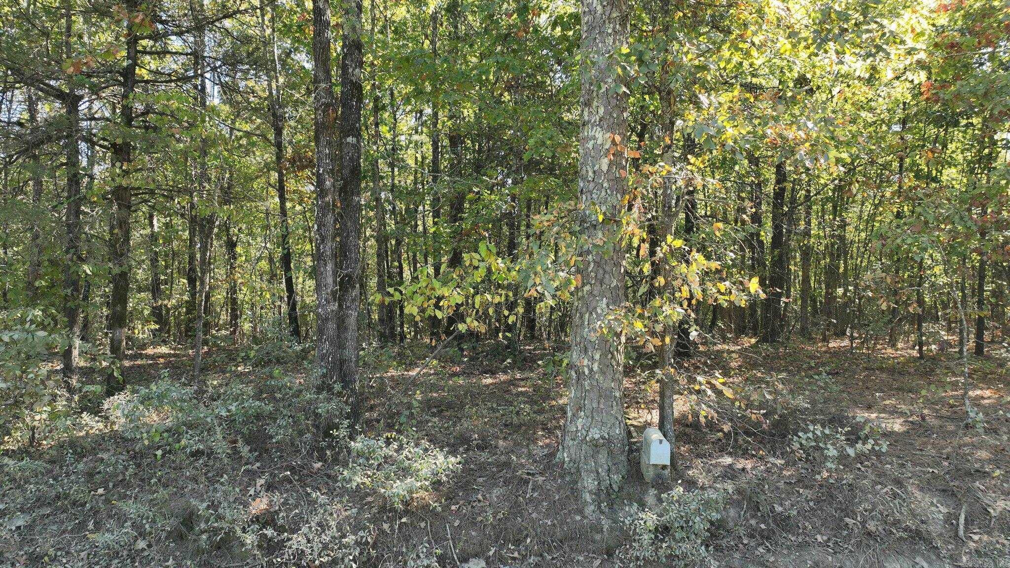 TBD  Polk Road 257  Wickes, AR