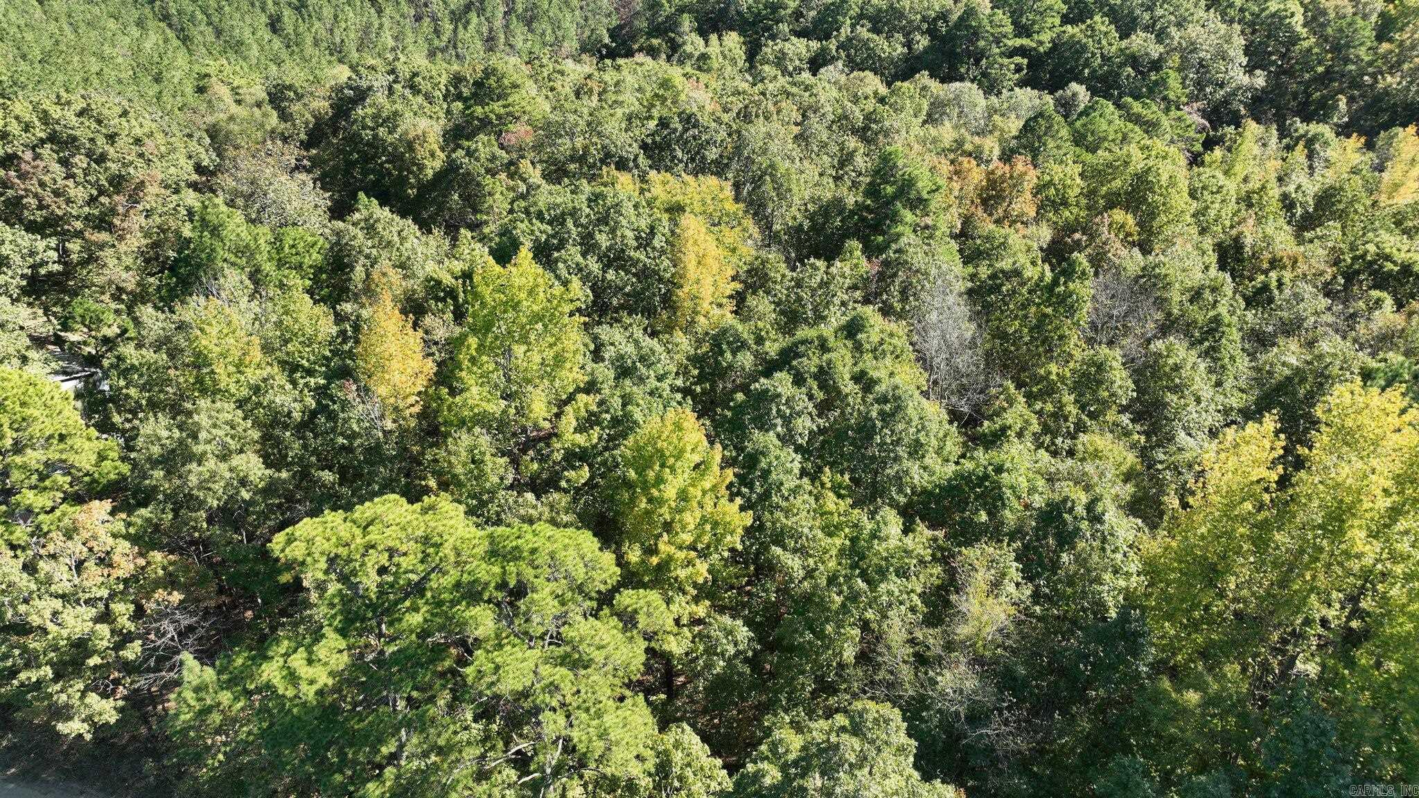 TBD  Polk Road 257  Wickes, AR