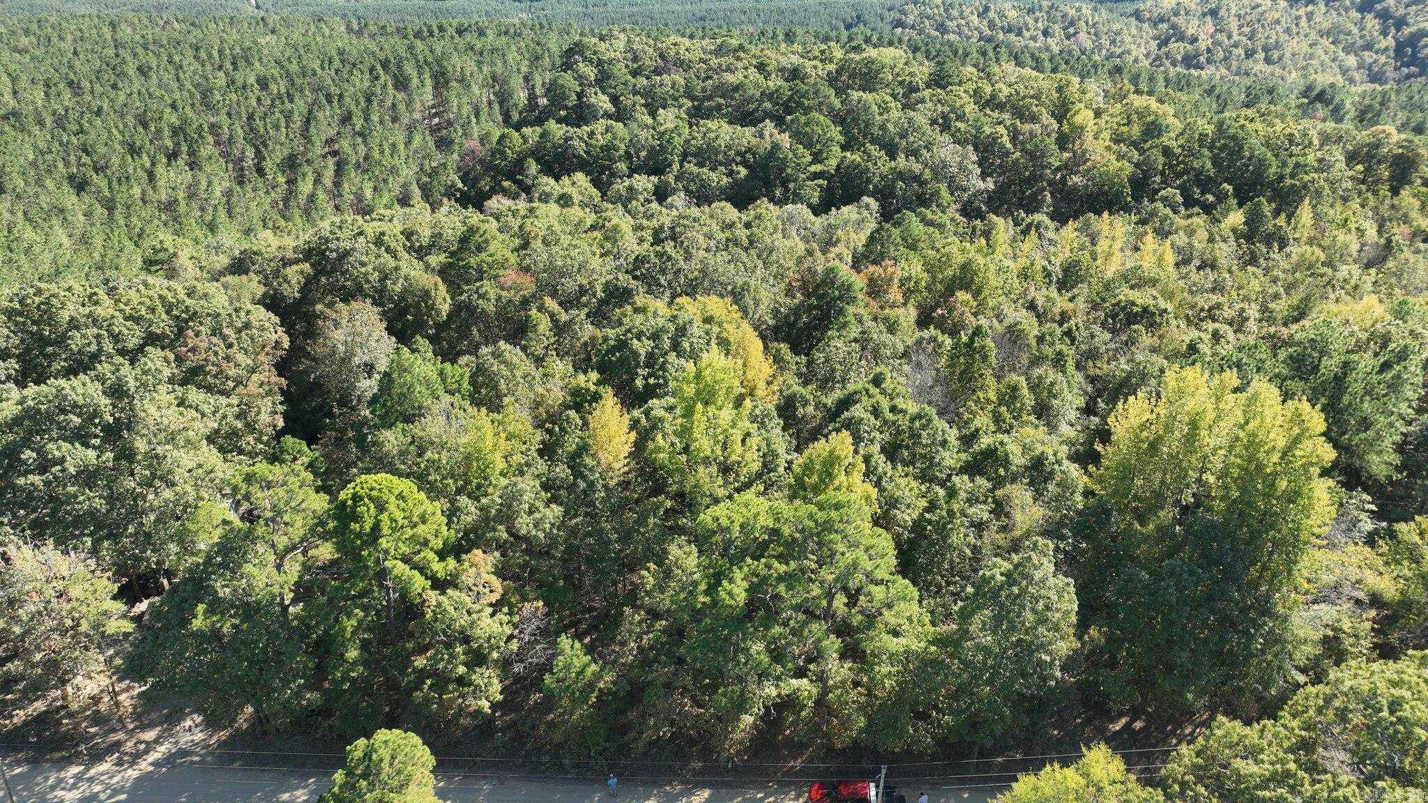 TBD  Polk Road 257  Wickes, AR