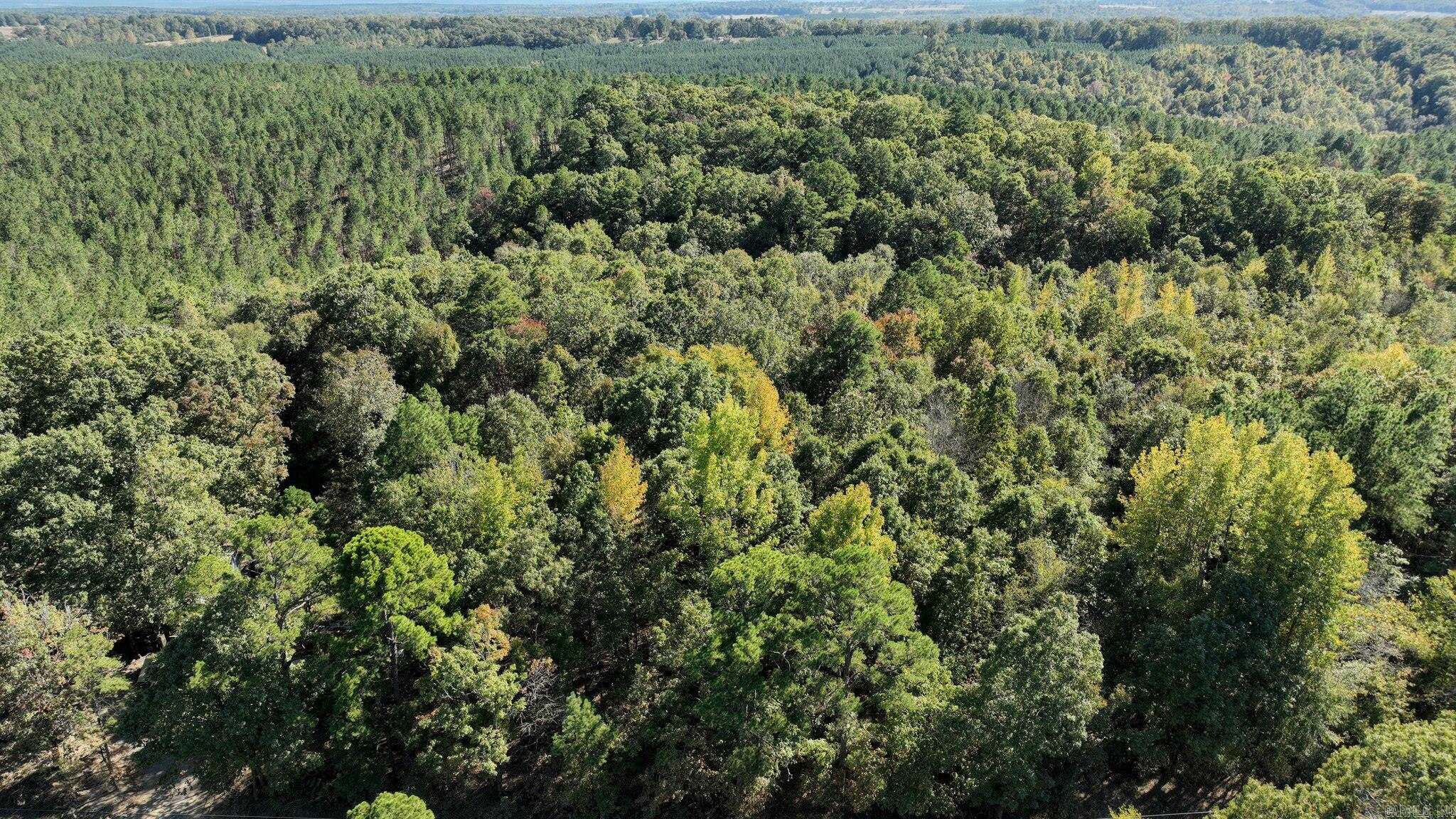 TBD  Polk Road 257  Wickes, AR