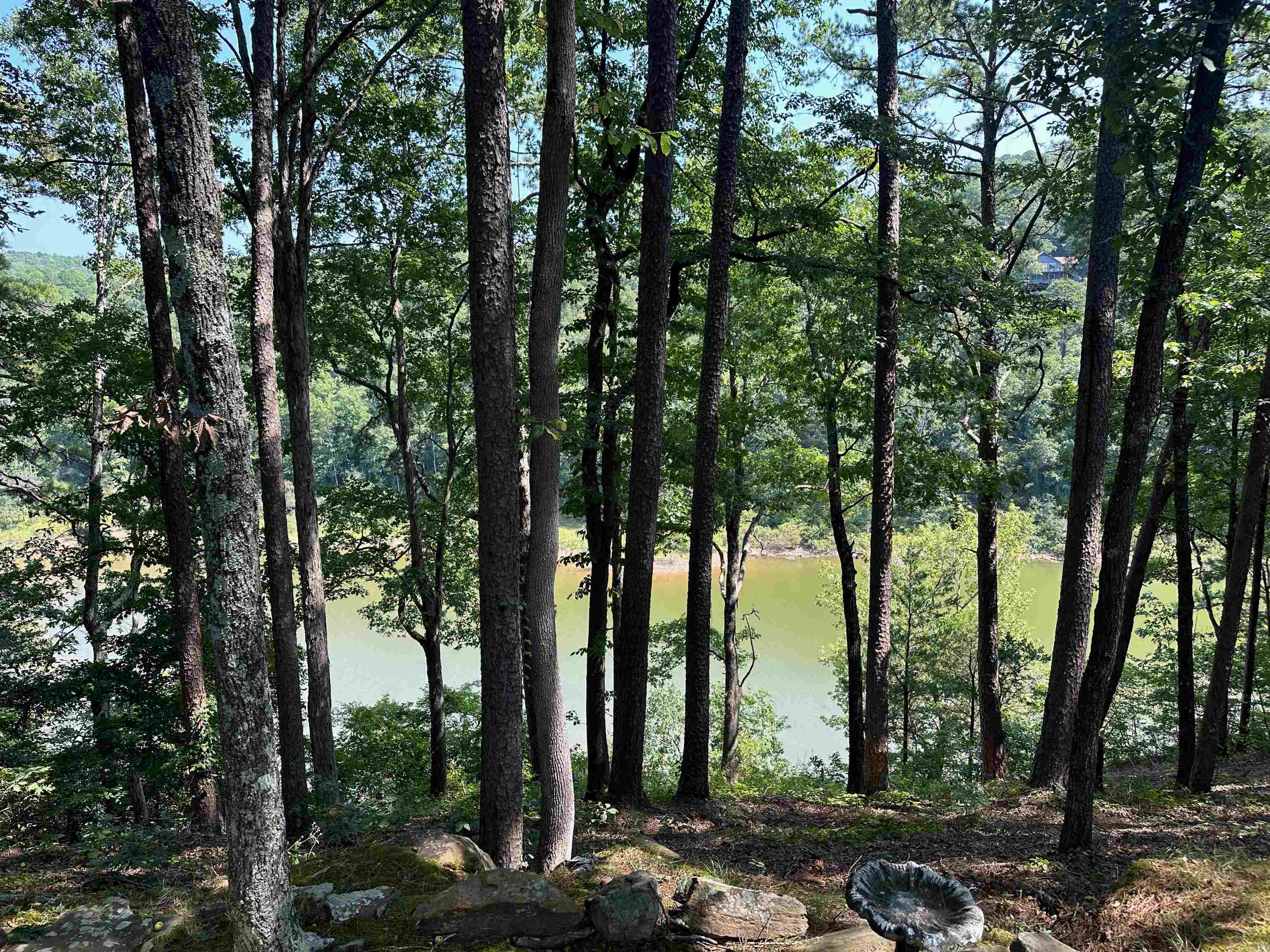 115  Meadowcliff  Fairfield Bay, AR