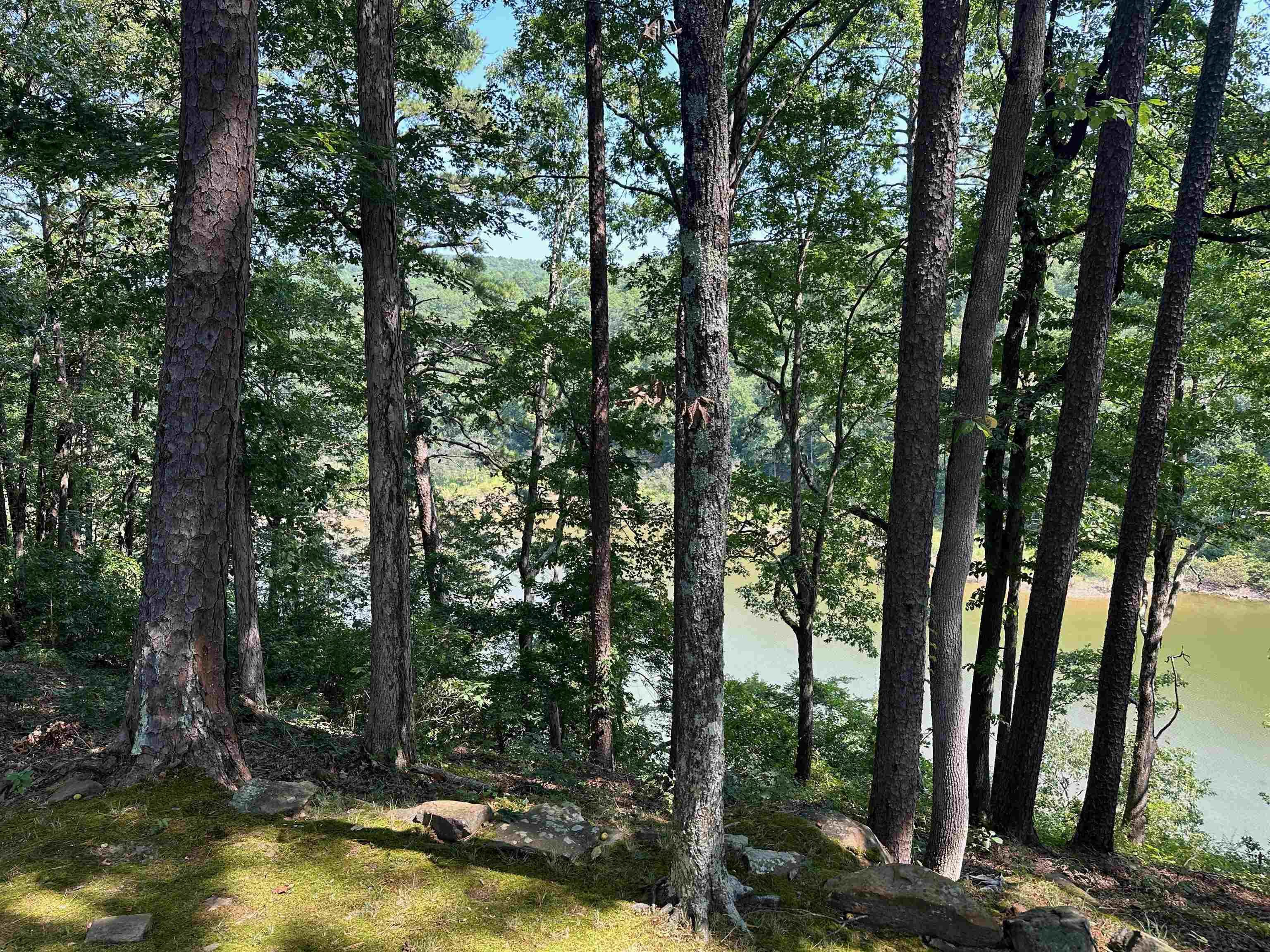 115  Meadowcliff  Fairfield Bay, AR