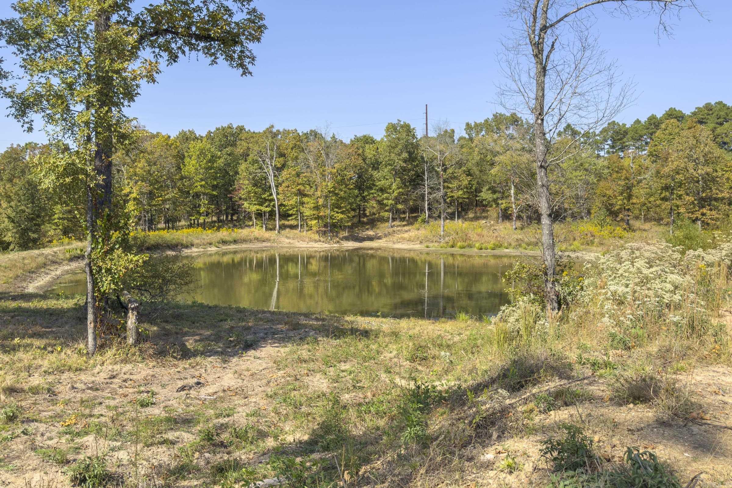 Tbd  Polk Rd 420  Mena, AR