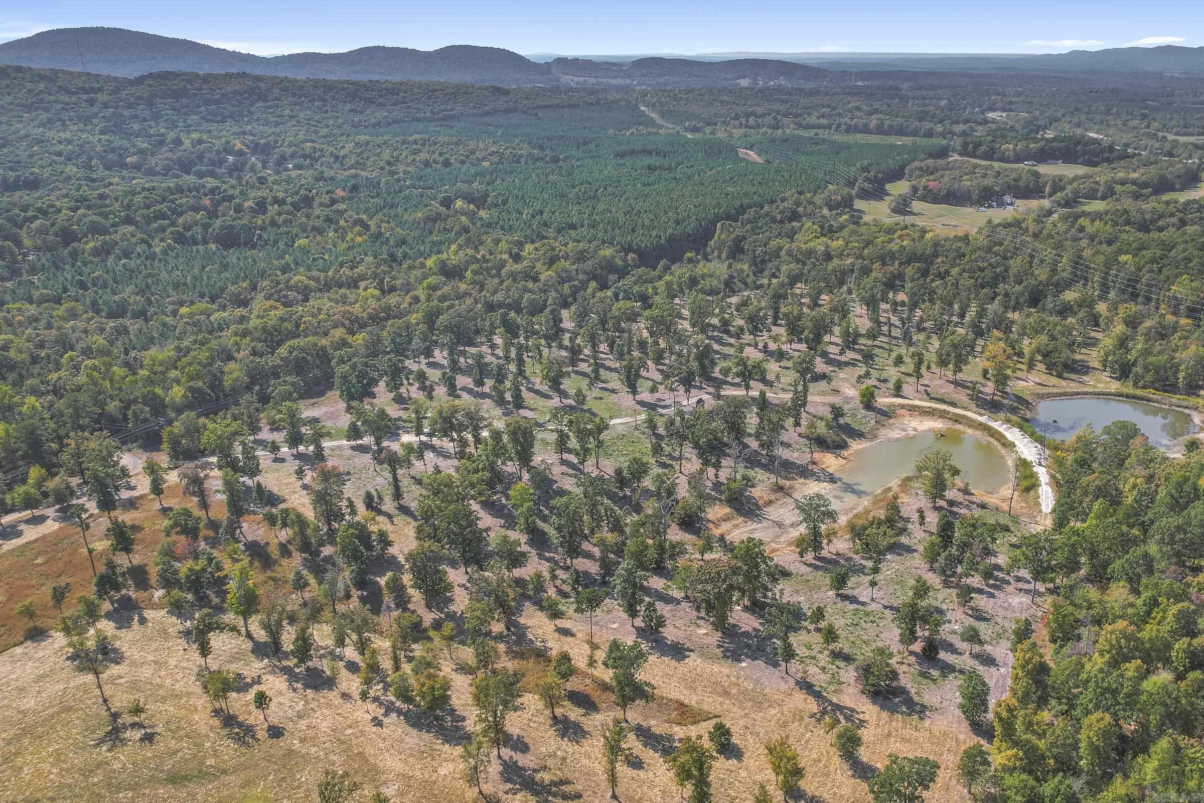 Tbd  Polk Rd 420  Mena, AR