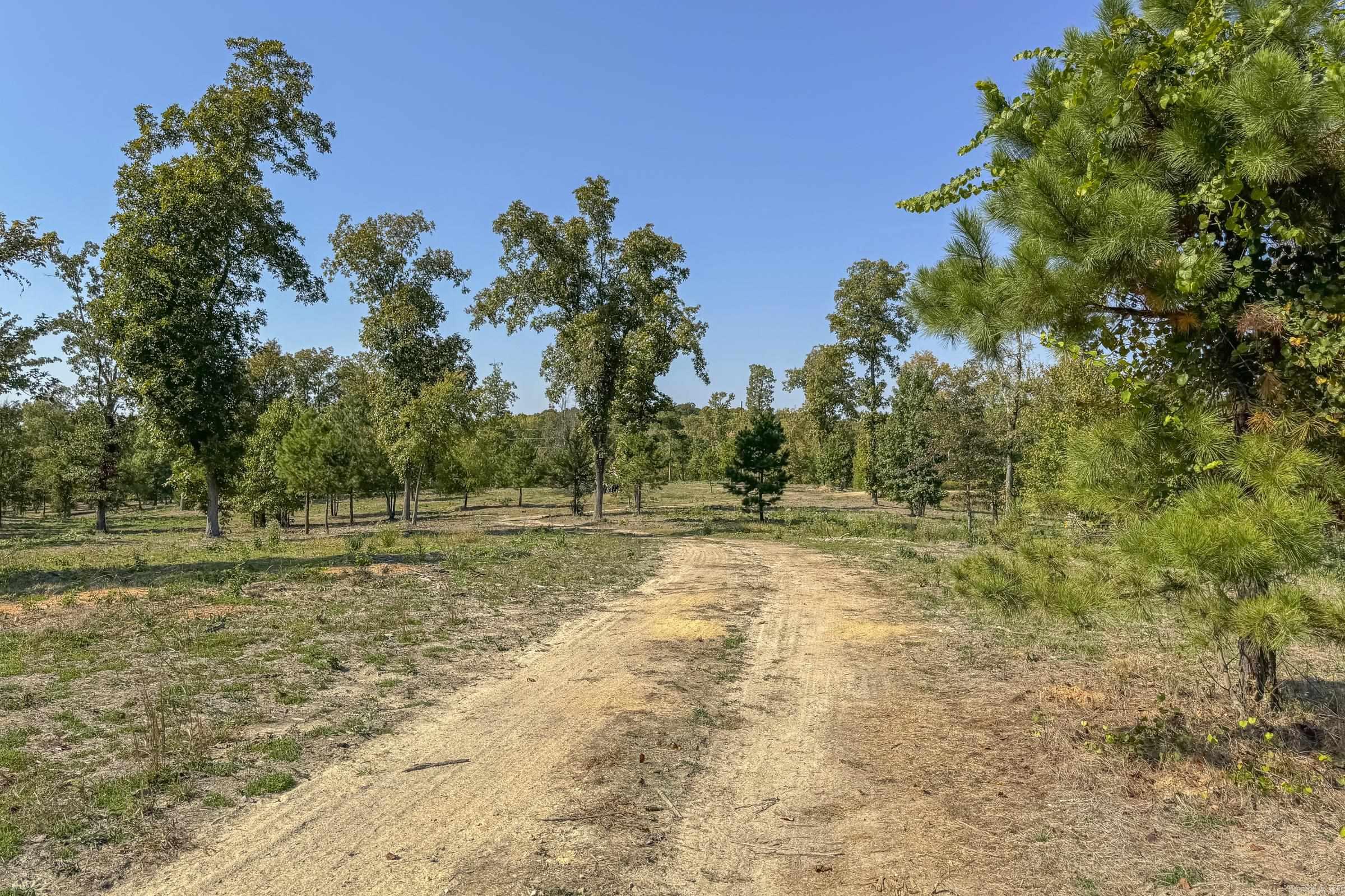 Tbd  Polk Rd 420  Mena, AR