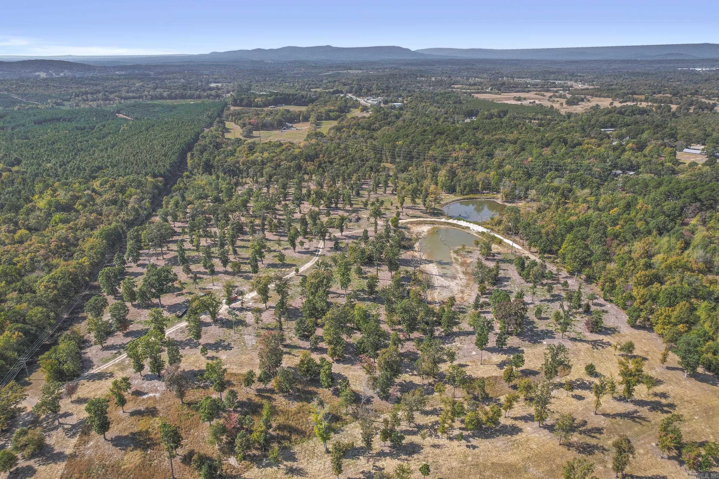 Tbd  Polk Rd 420  Mena, AR