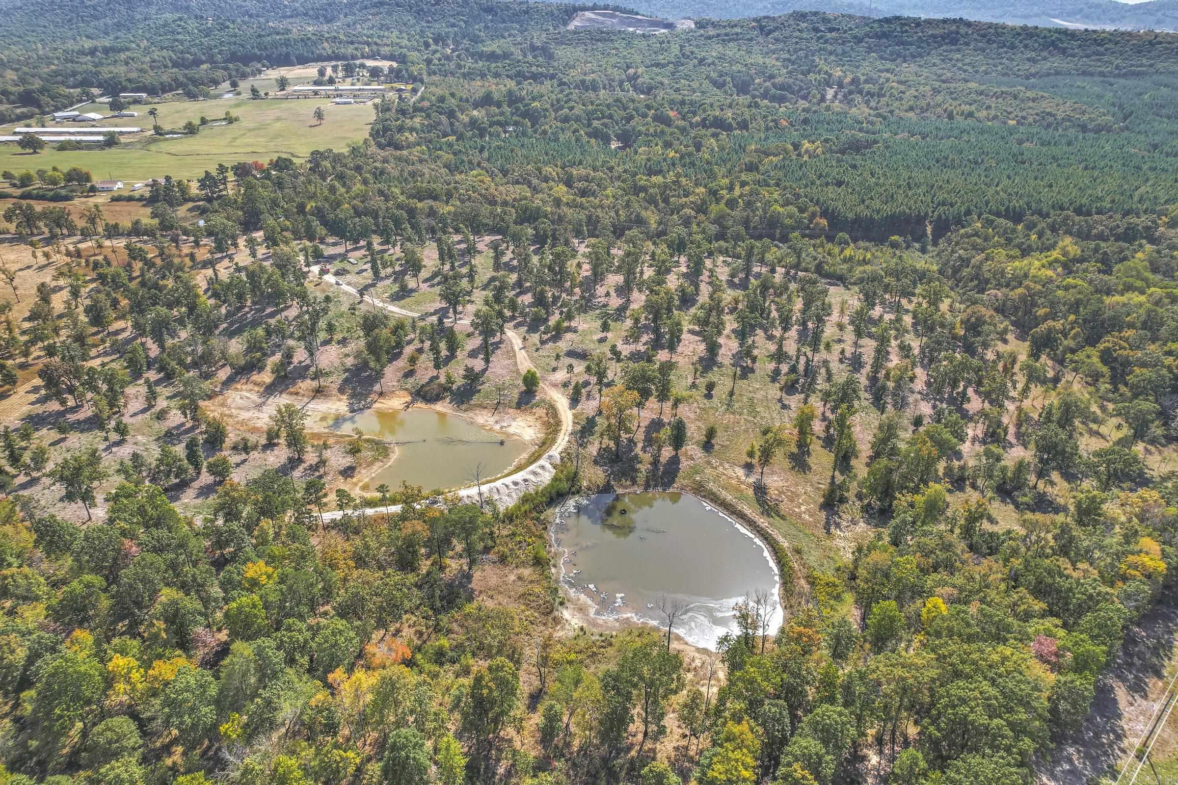 Tbd  Polk Rd 420  Mena, AR