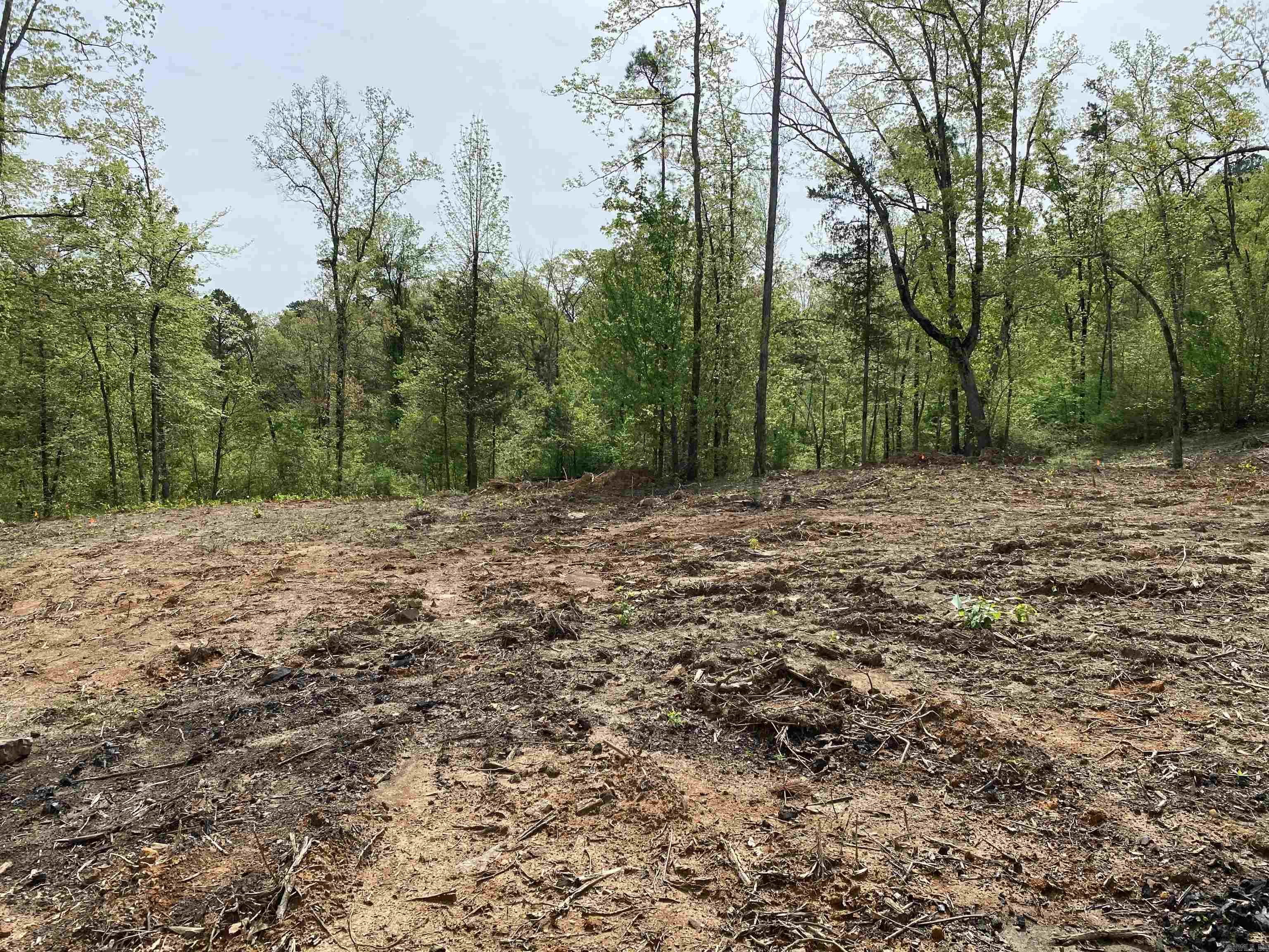 707 W.  Hwy 95  Clinton, AR