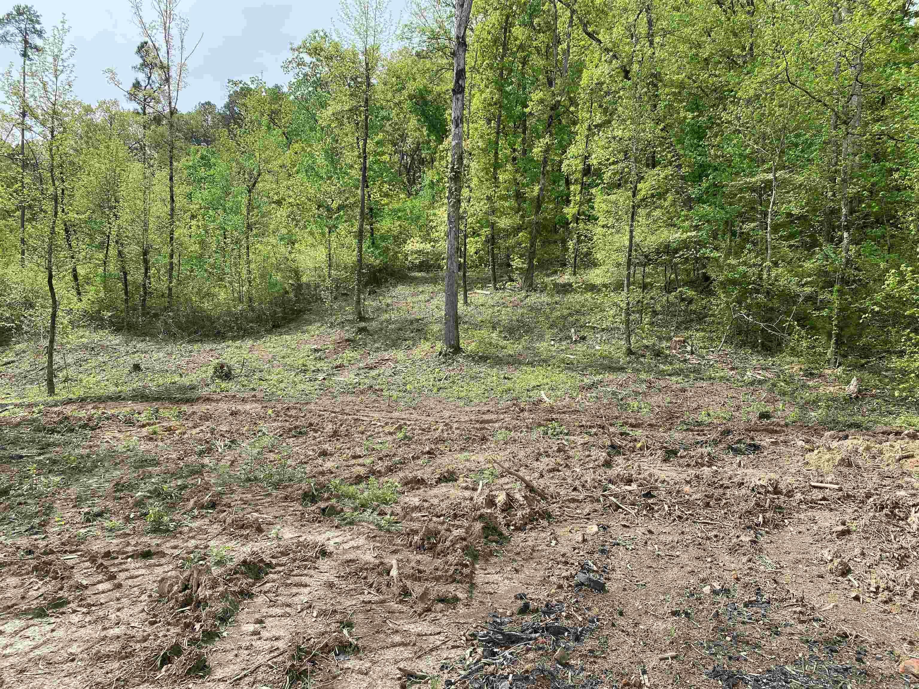 707 W.  Hwy 95  Clinton, AR