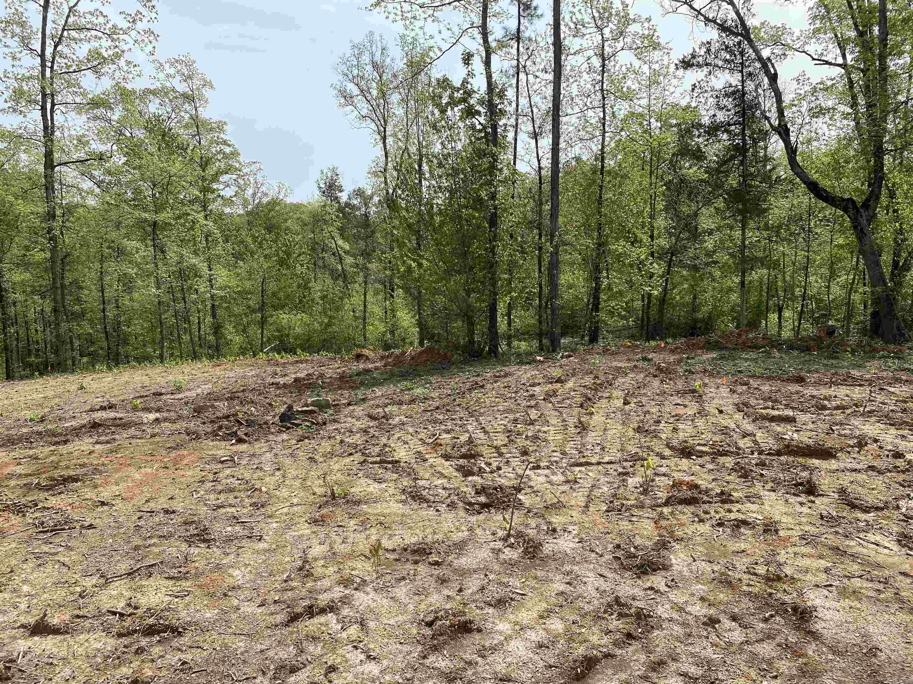 707 W.  Hwy 95  Clinton, AR