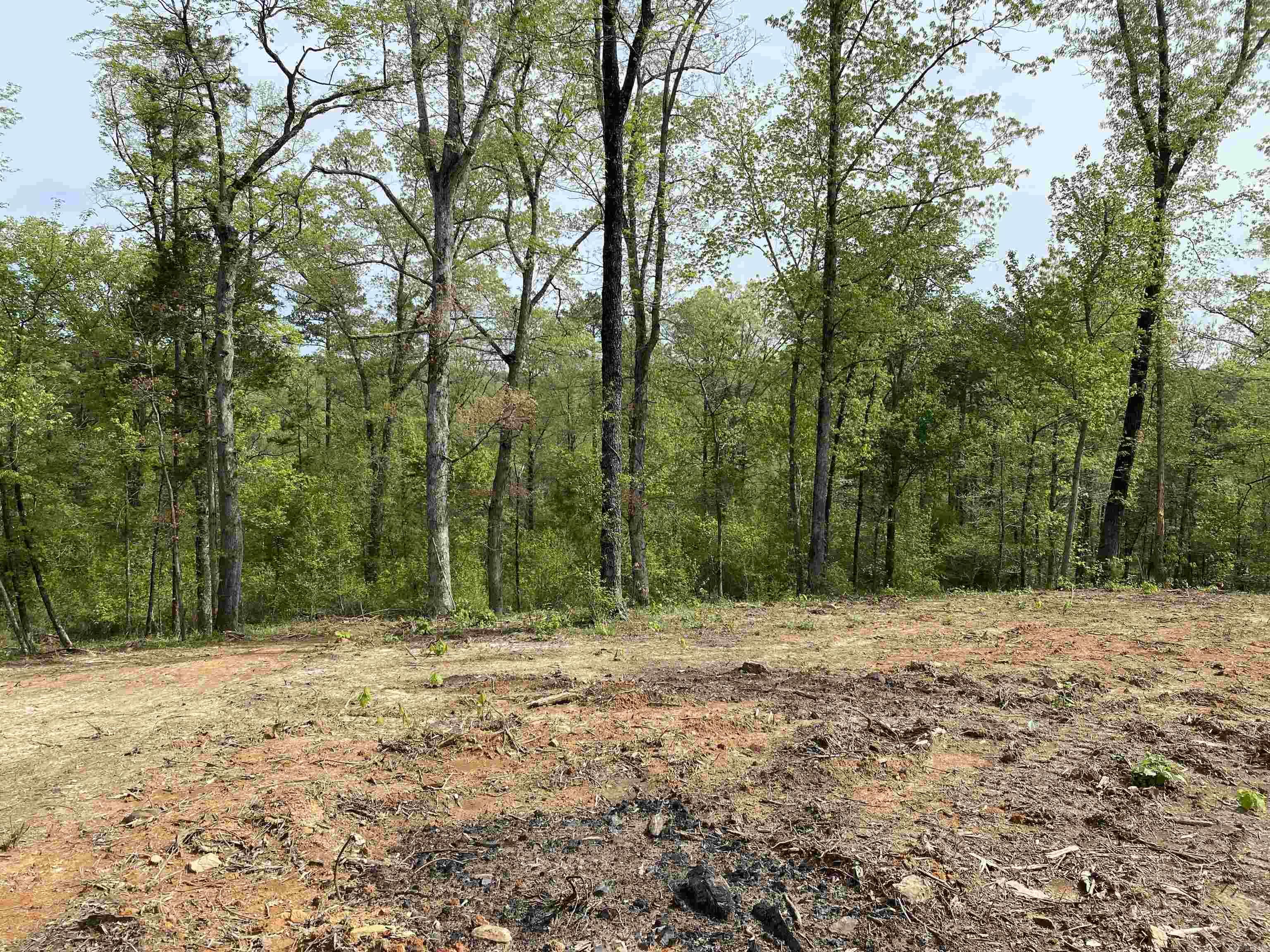 707 W.  Hwy 95  Clinton, AR