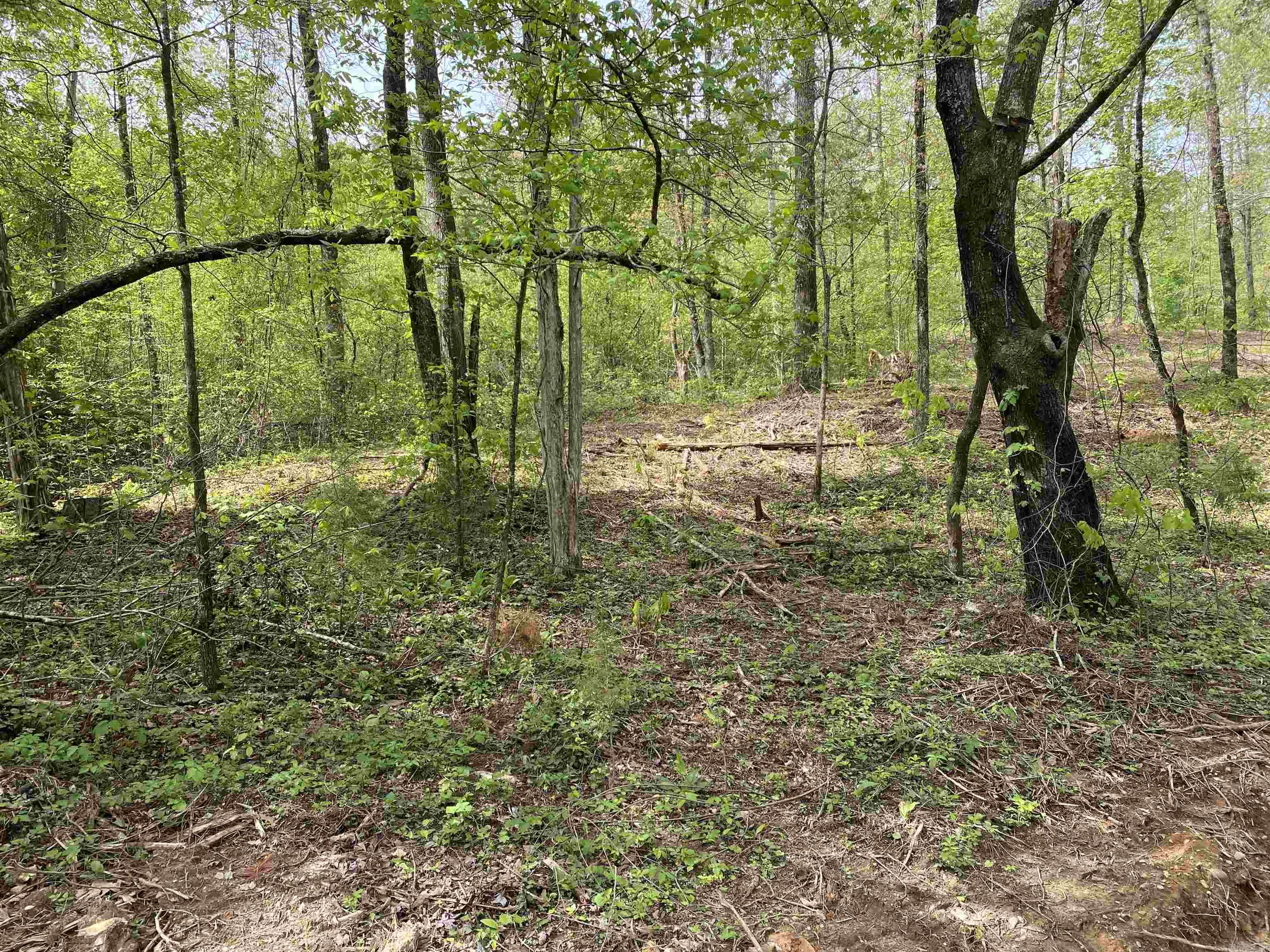 707 W.  Hwy 95  Clinton, AR