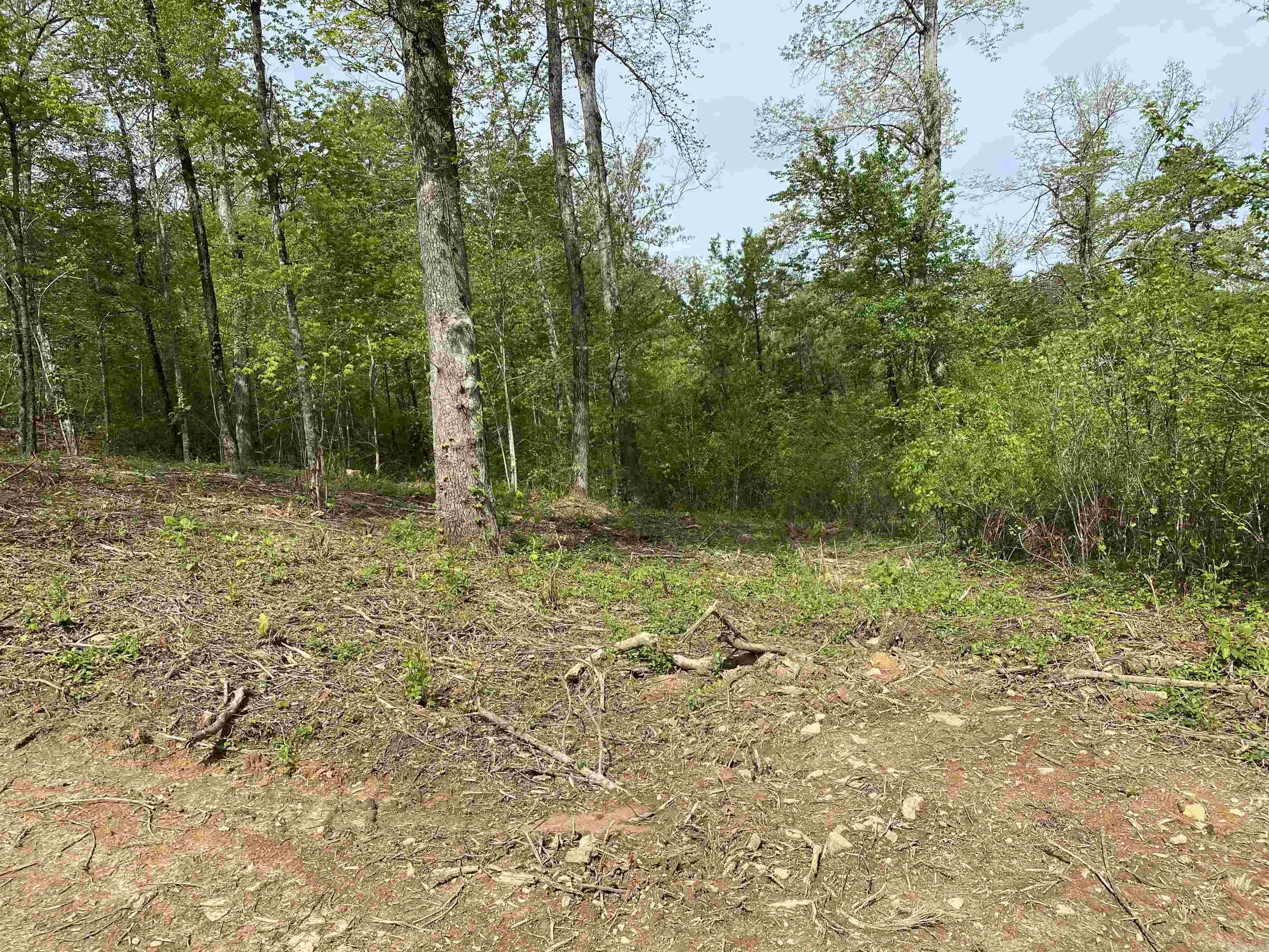 707 W.  Hwy 95  Clinton, AR