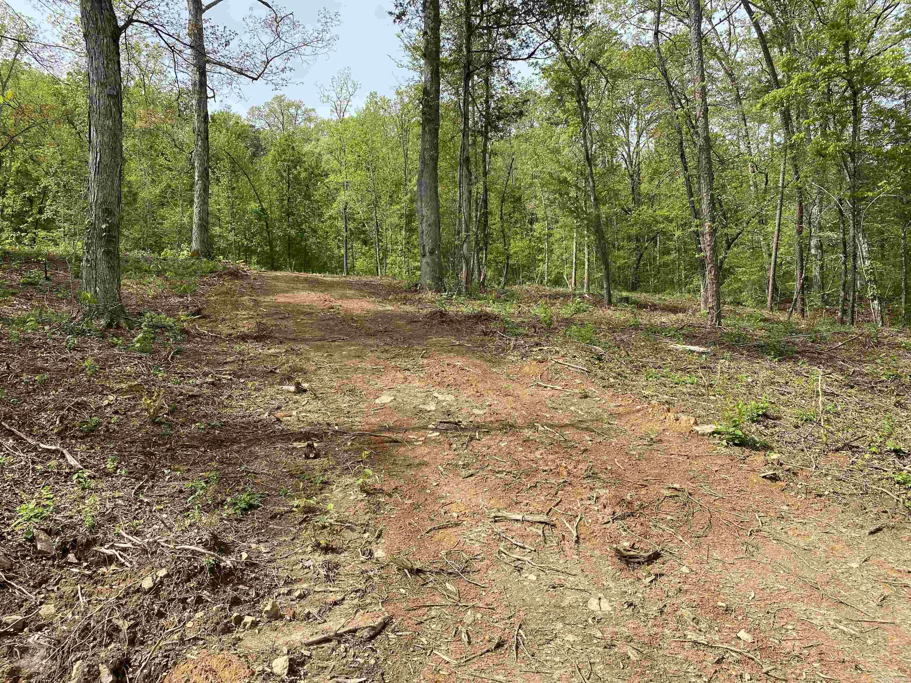 707 W.  Hwy 95  Clinton, AR