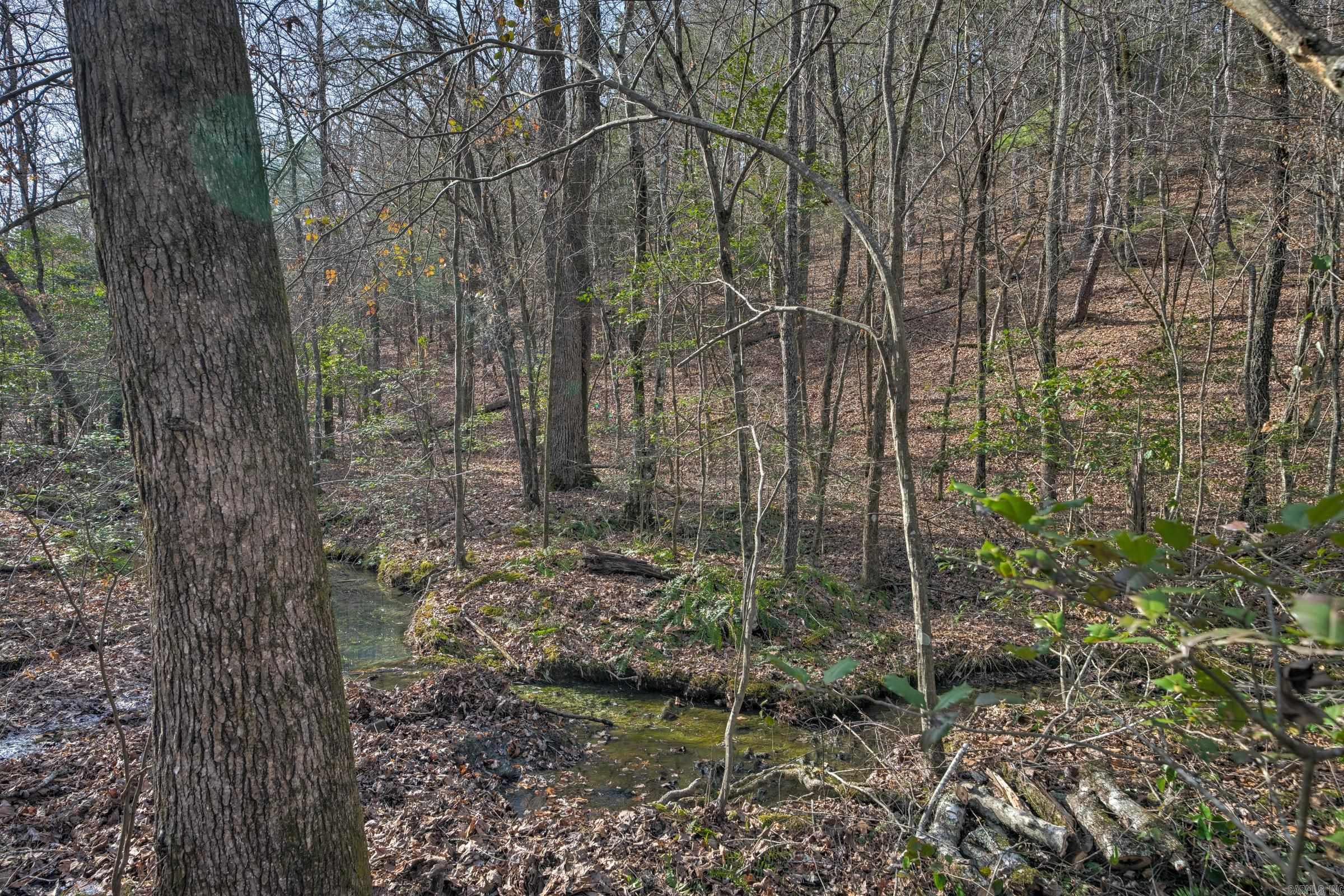 143  SUNNY DAY LN  Mena, AR