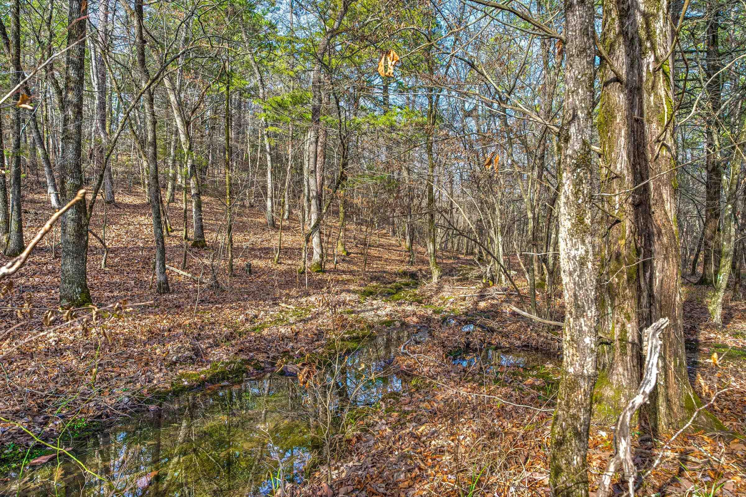 143  SUNNY DAY LN  Mena, AR