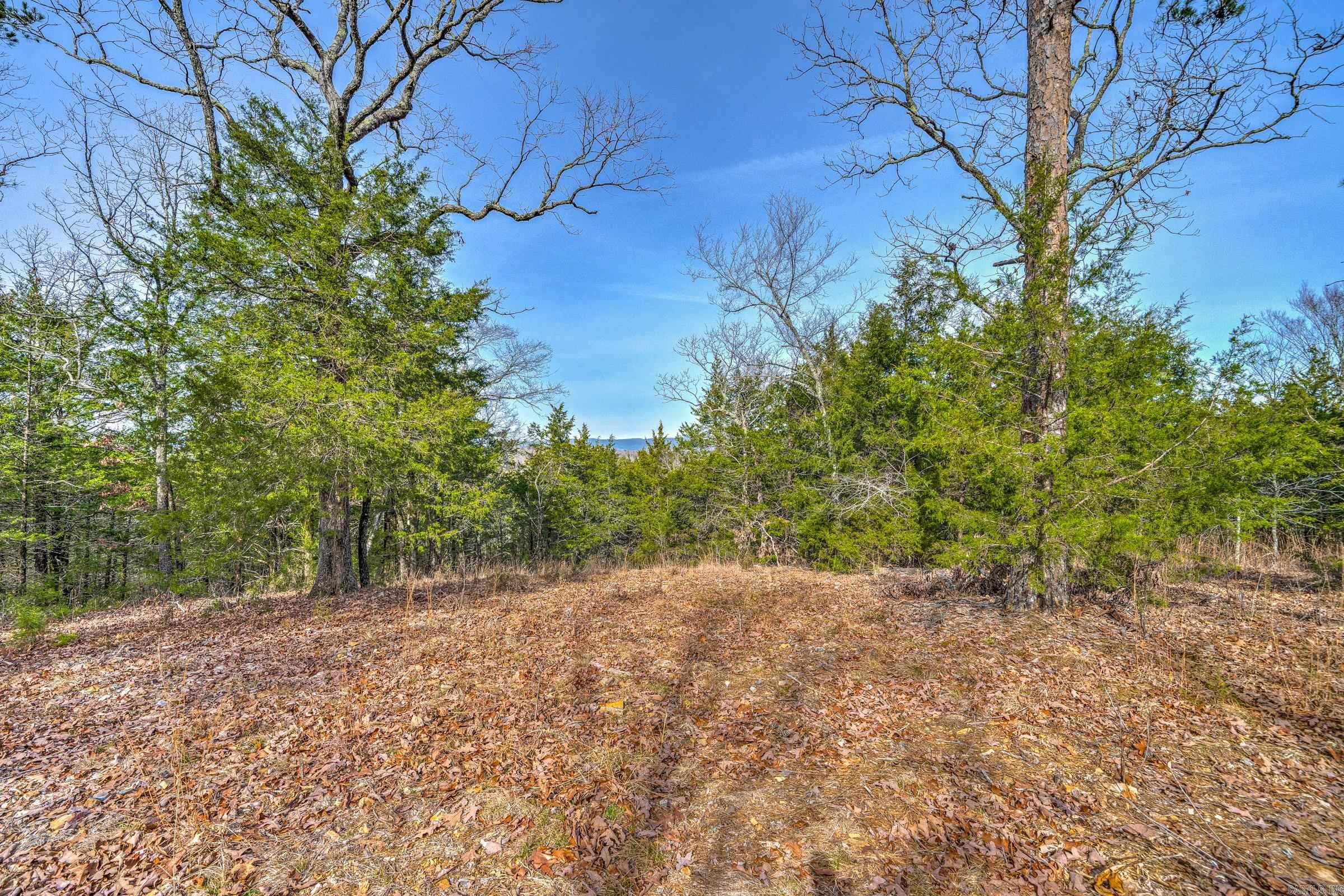 143  SUNNY DAY LN  Mena, AR