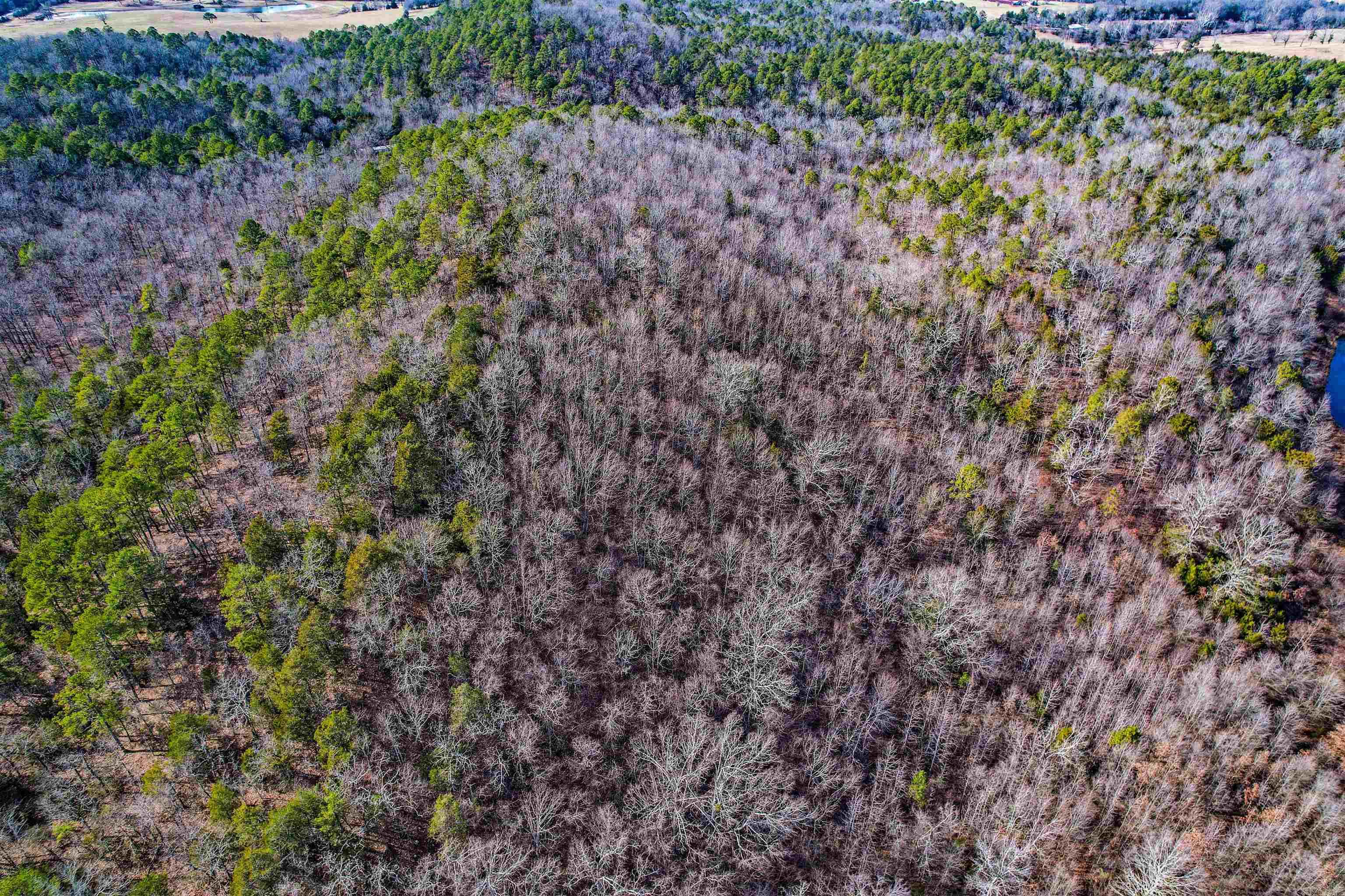 143  SUNNY DAY LN  Mena, AR
