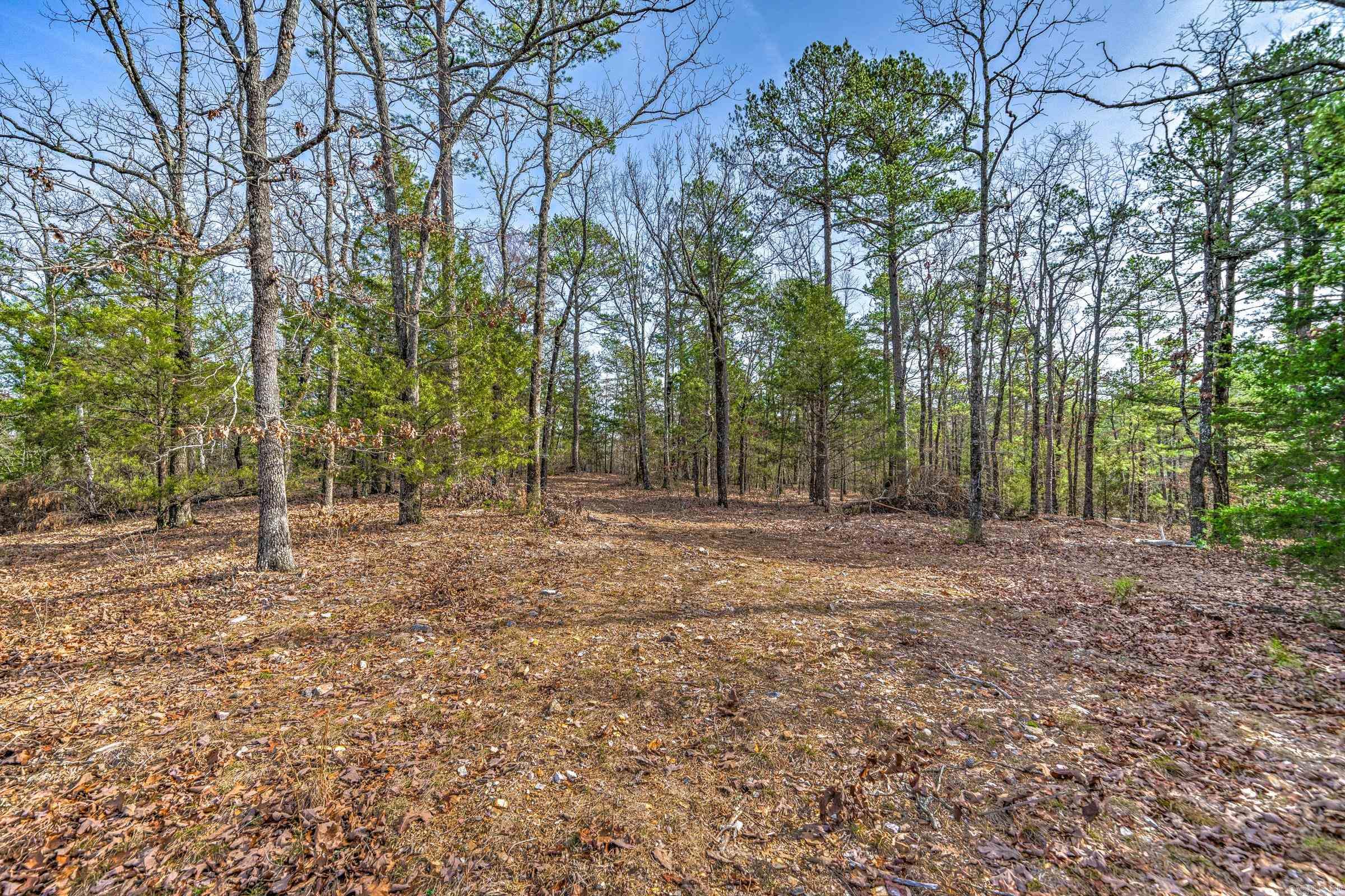 143  SUNNY DAY LN  Mena, AR