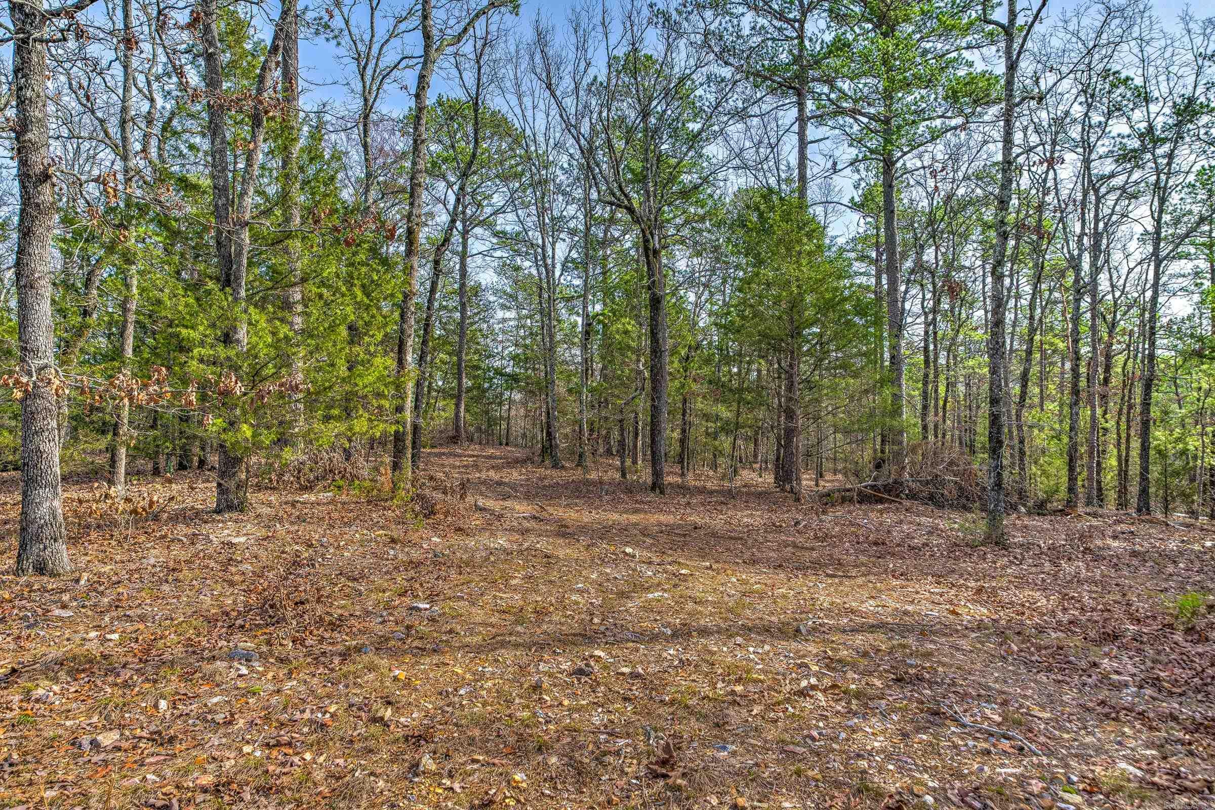 143  SUNNY DAY LN  Mena, AR