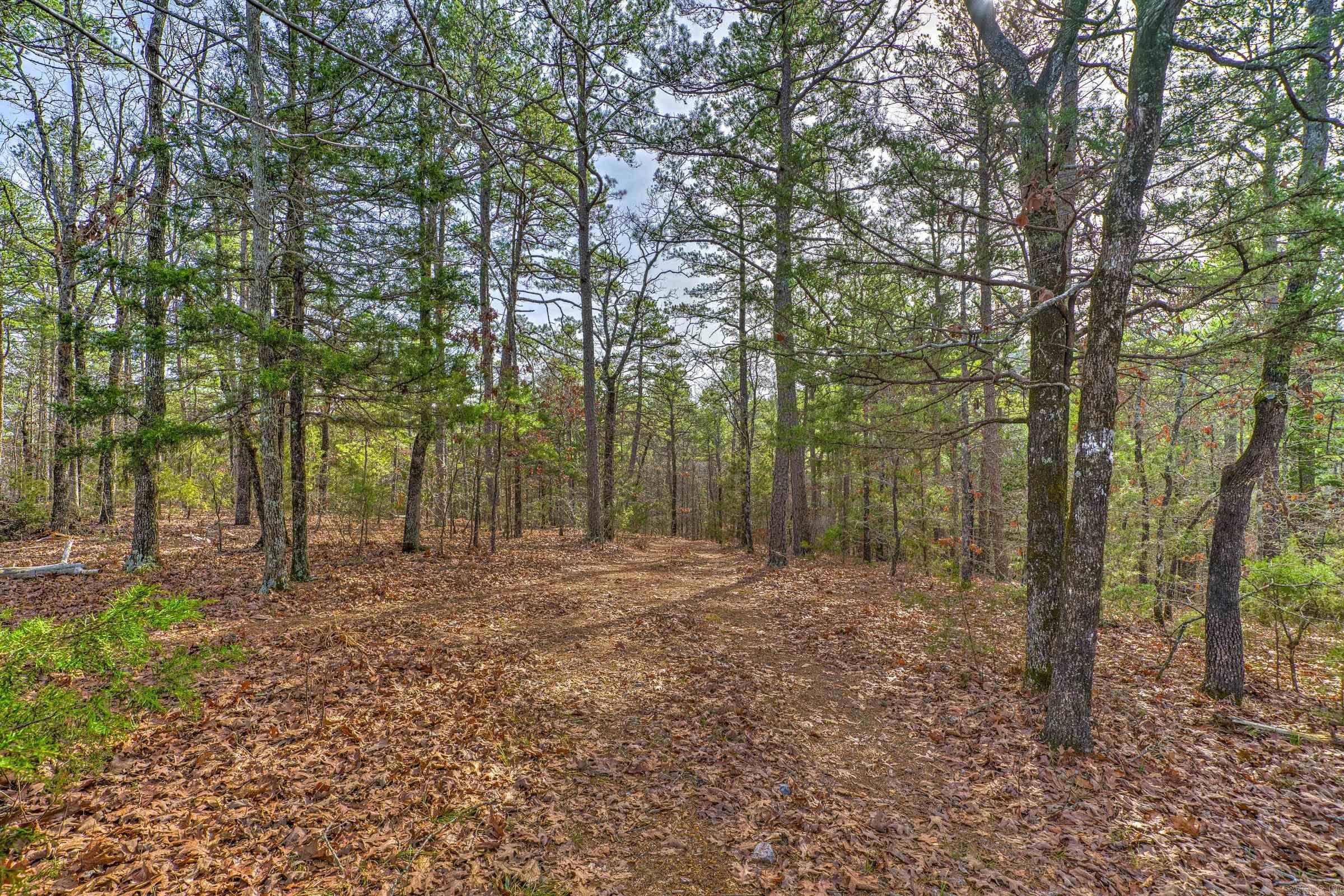 143  SUNNY DAY LN  Mena, AR