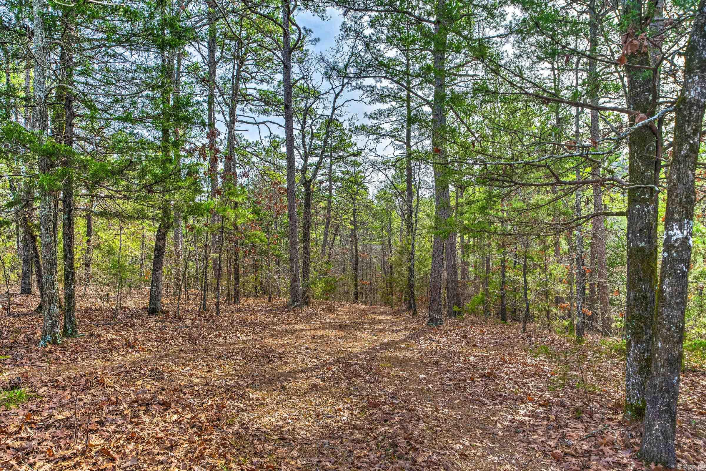 143  SUNNY DAY LN  Mena, AR