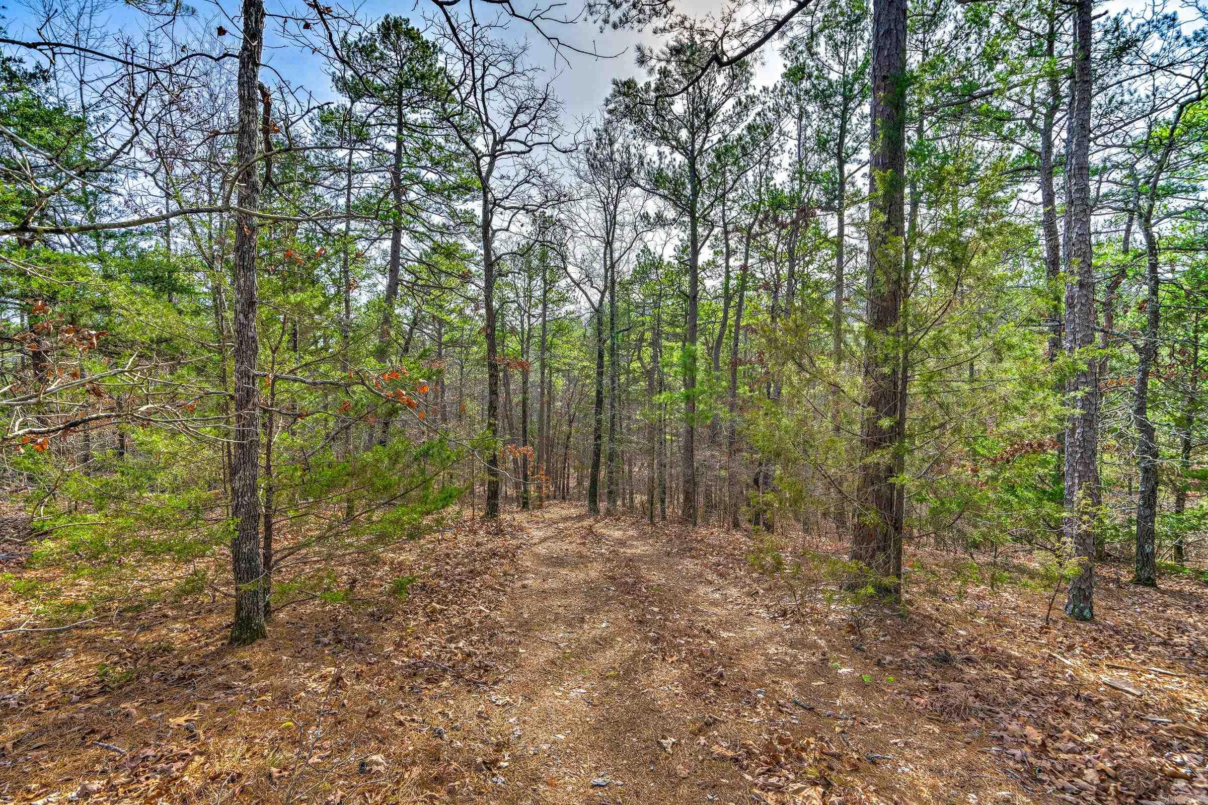 143  SUNNY DAY LN  Mena, AR