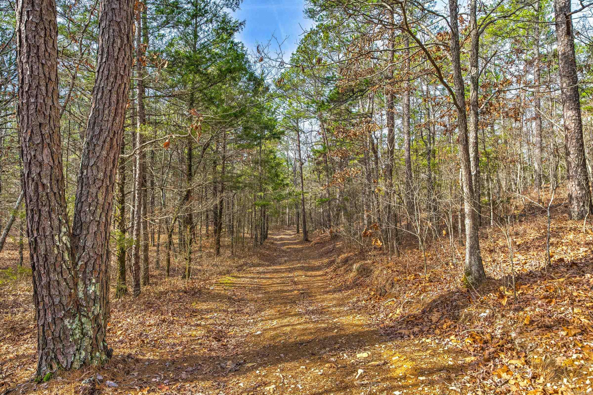 143  SUNNY DAY LN  Mena, AR