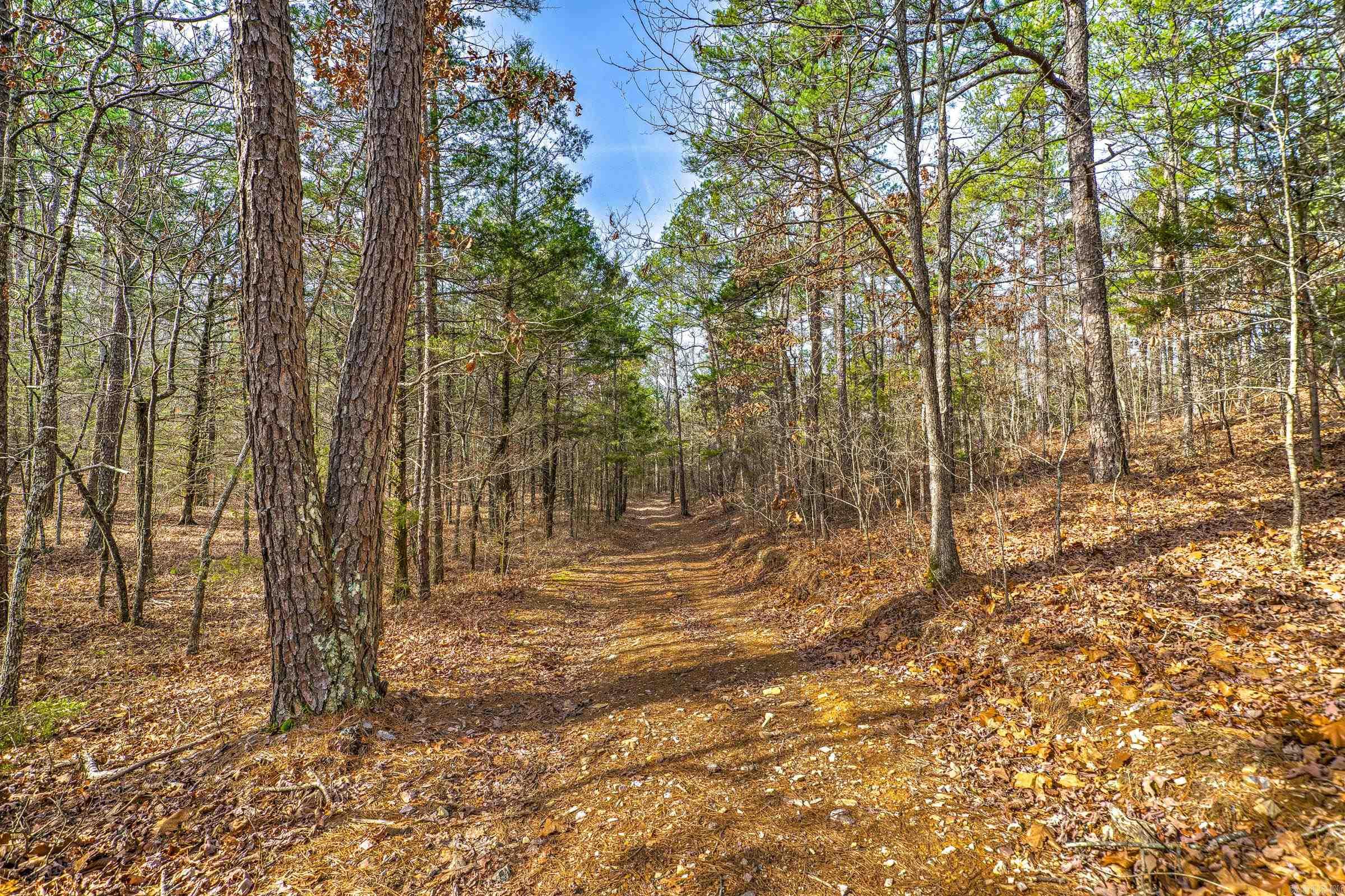 143  SUNNY DAY LN  Mena, AR