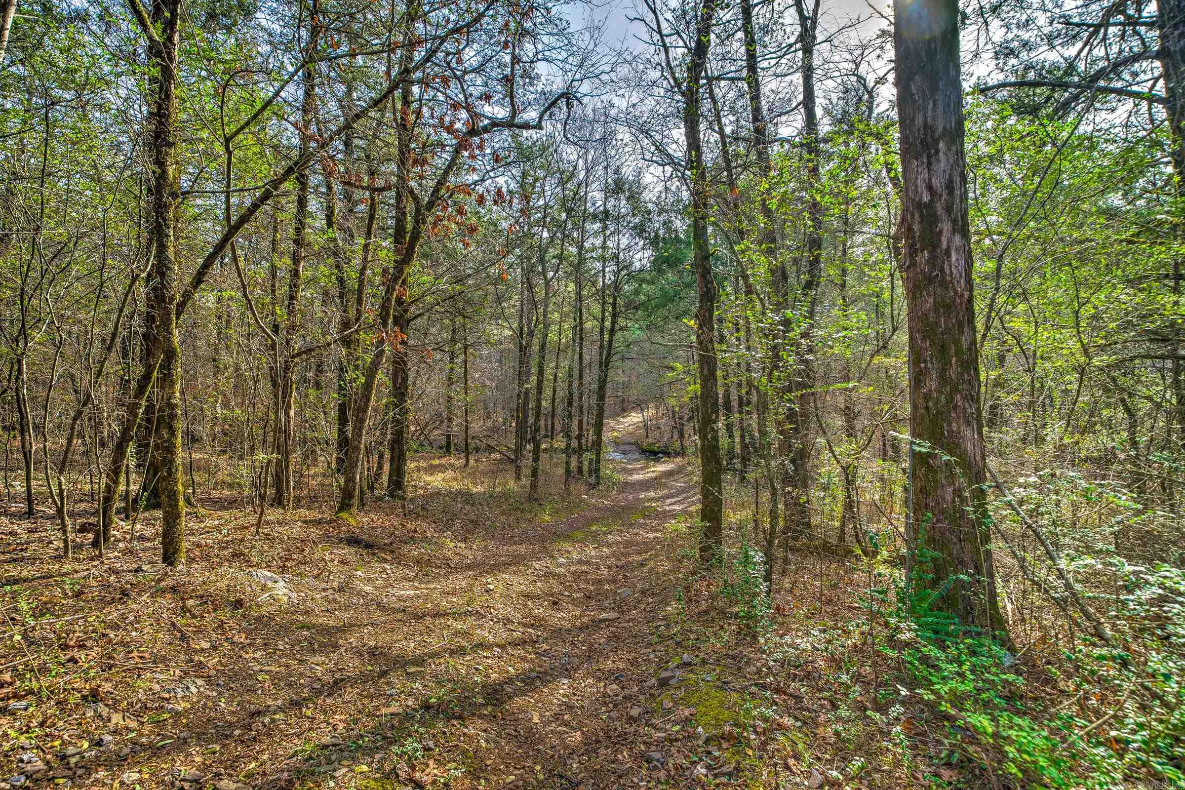 143  SUNNY DAY LN  Mena, AR