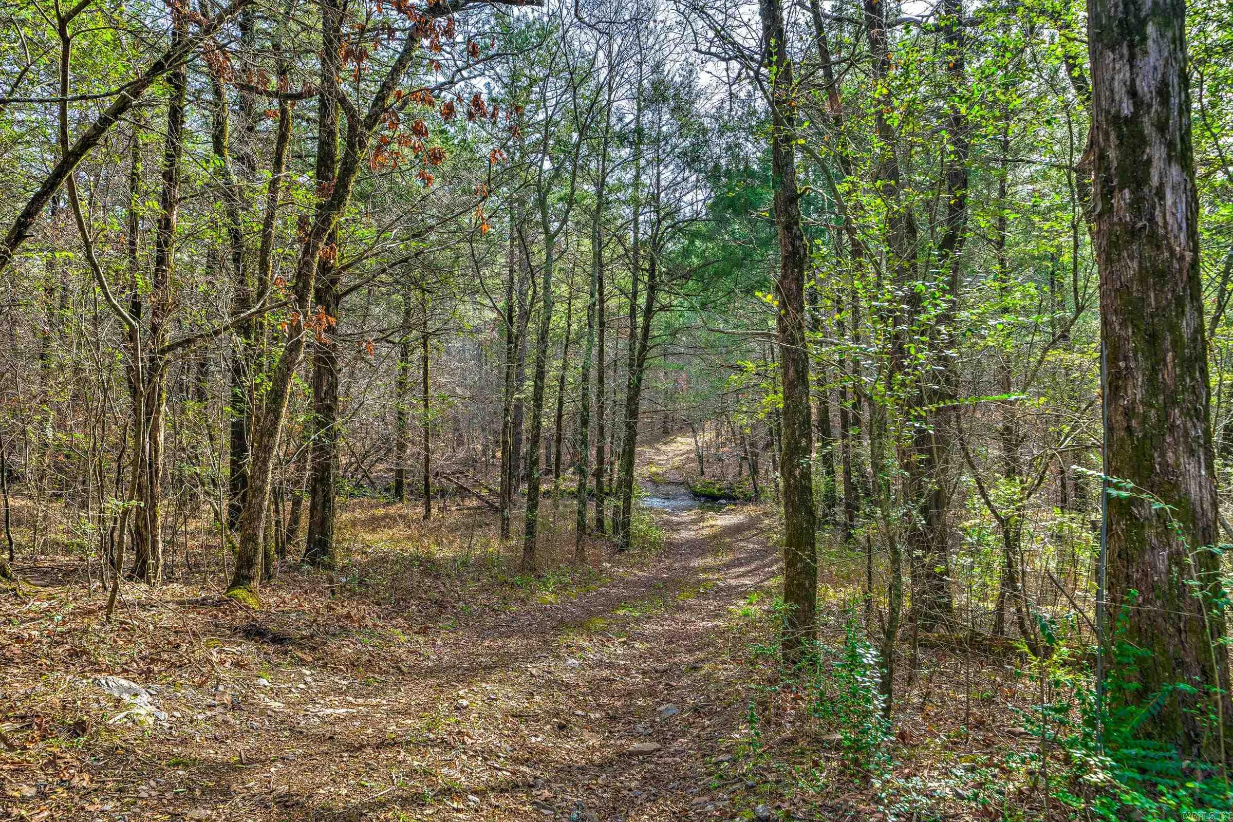 143  SUNNY DAY LN  Mena, AR