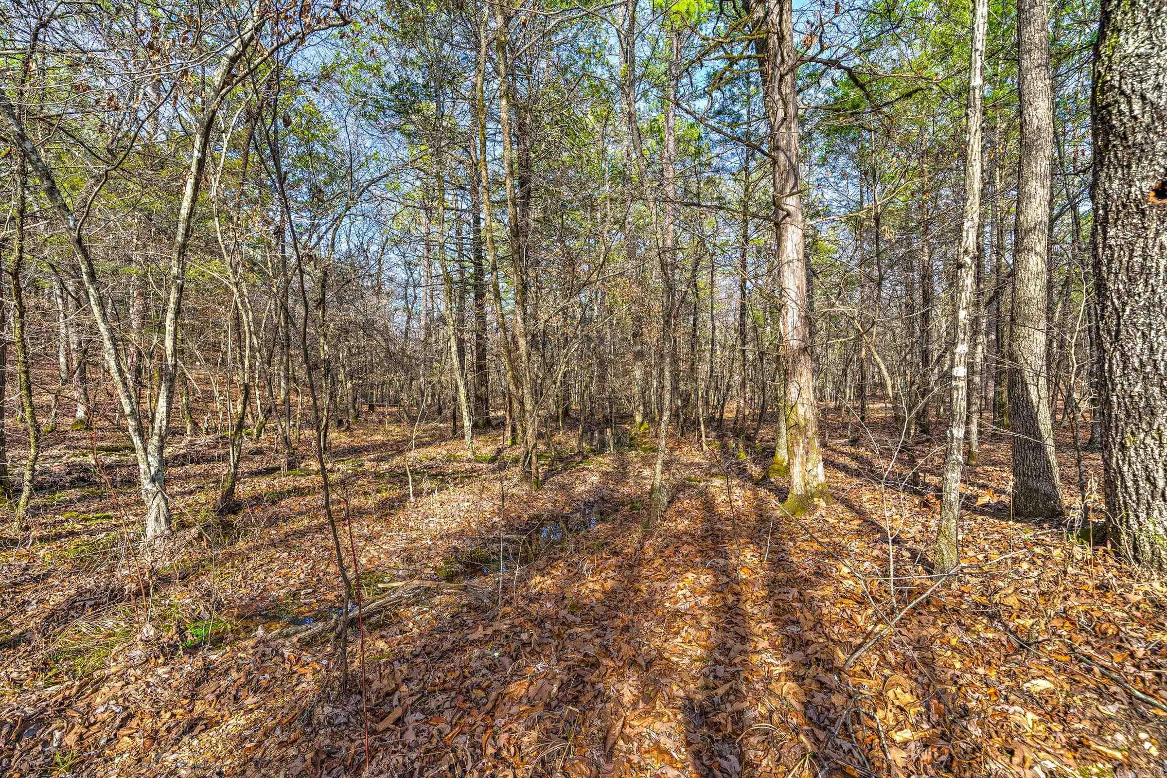143  SUNNY DAY LN  Mena, AR