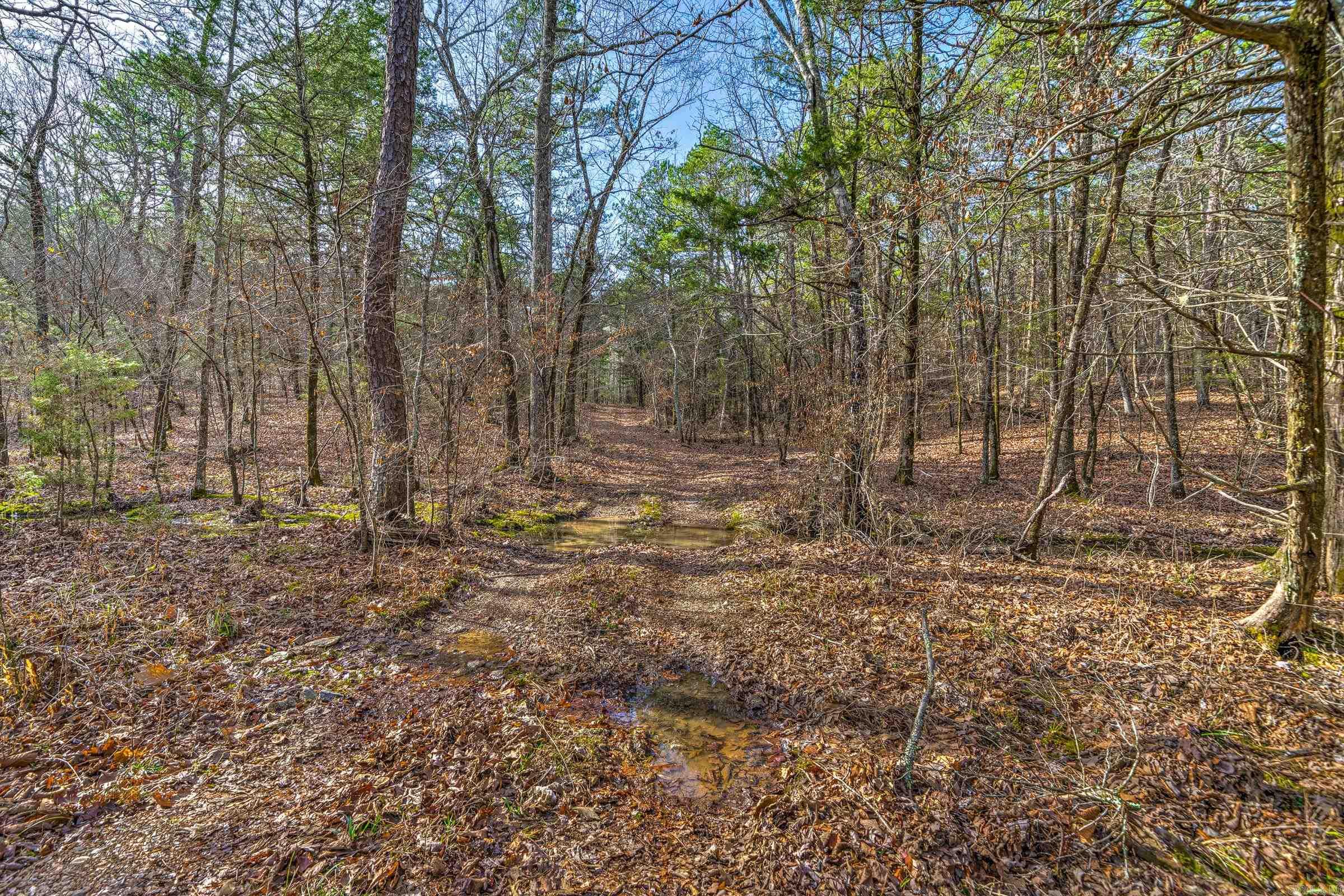 143  SUNNY DAY LN  Mena, AR
