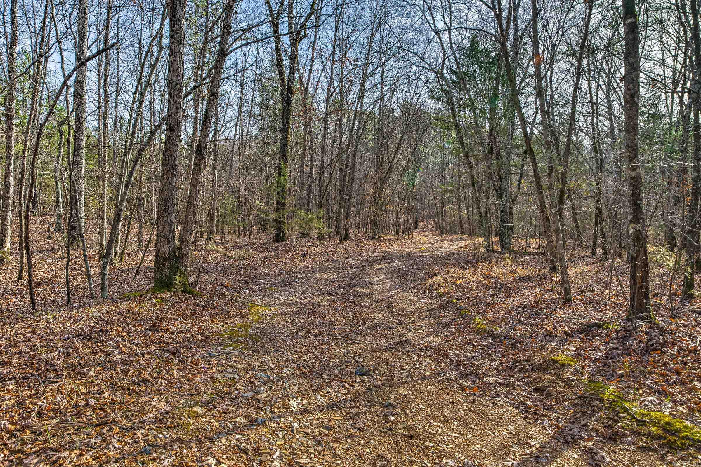 143  SUNNY DAY LN  Mena, AR