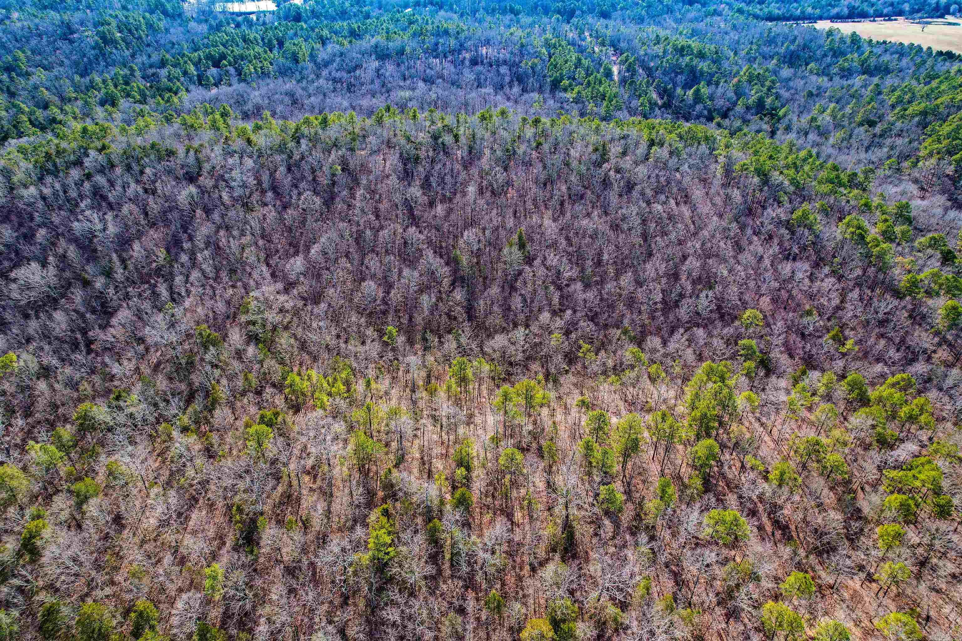 143  SUNNY DAY LN  Mena, AR