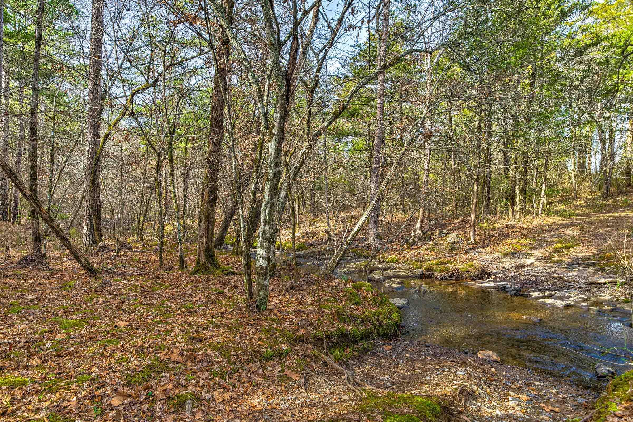 143  SUNNY DAY LN  Mena, AR