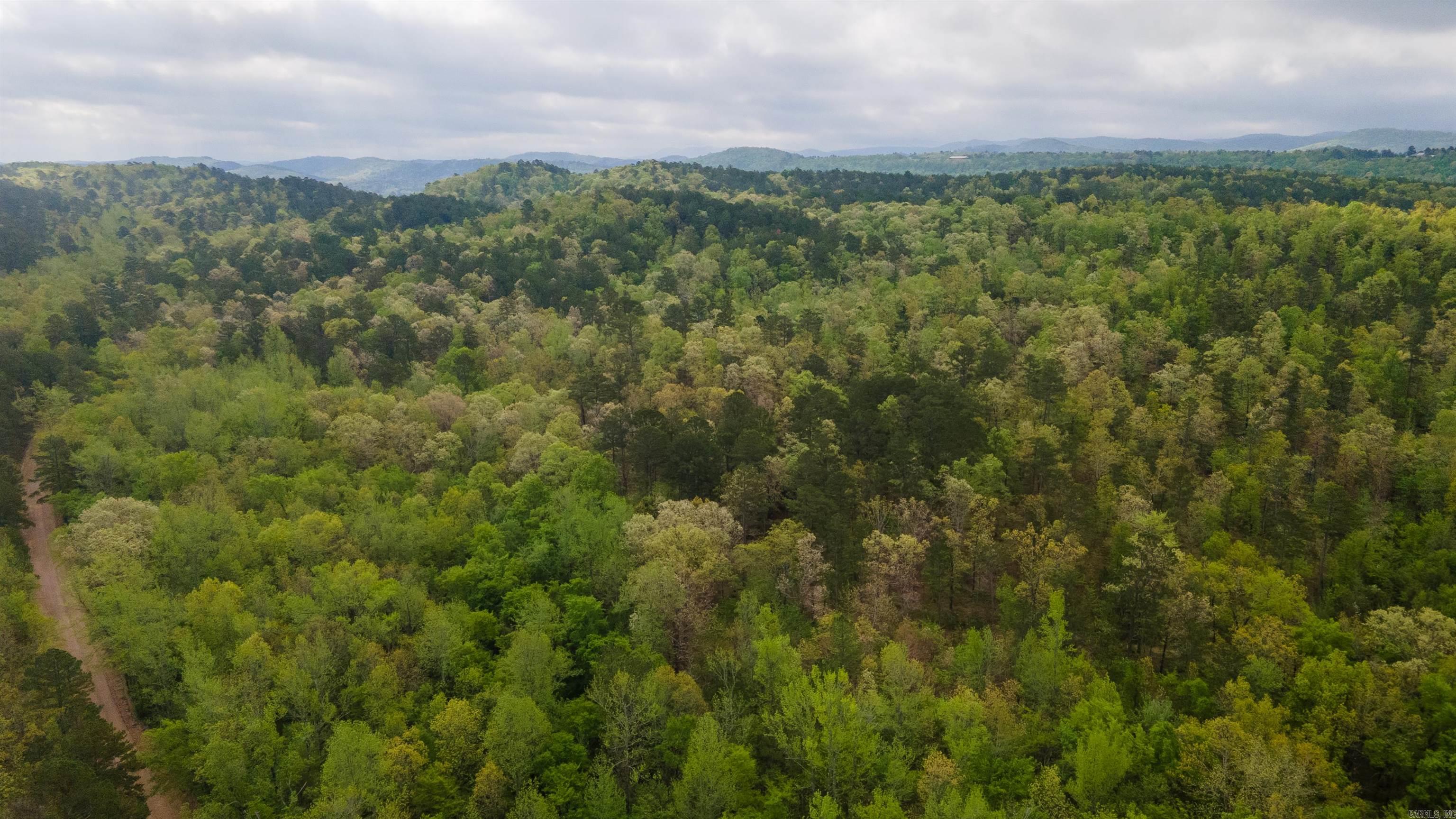 9999  Polk ROAD 62  Mena, AR