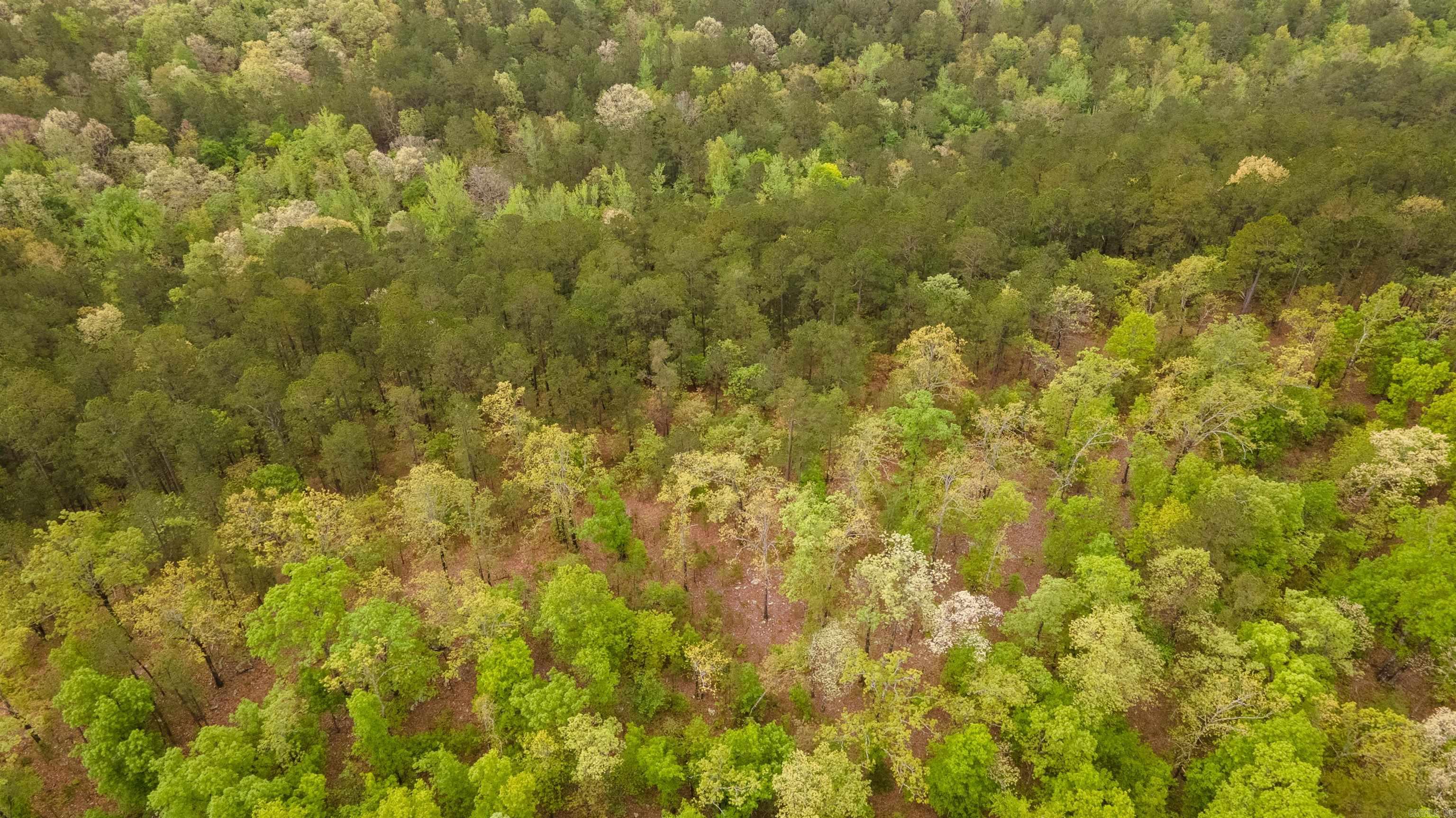 9999  Polk ROAD 62  Mena, AR
