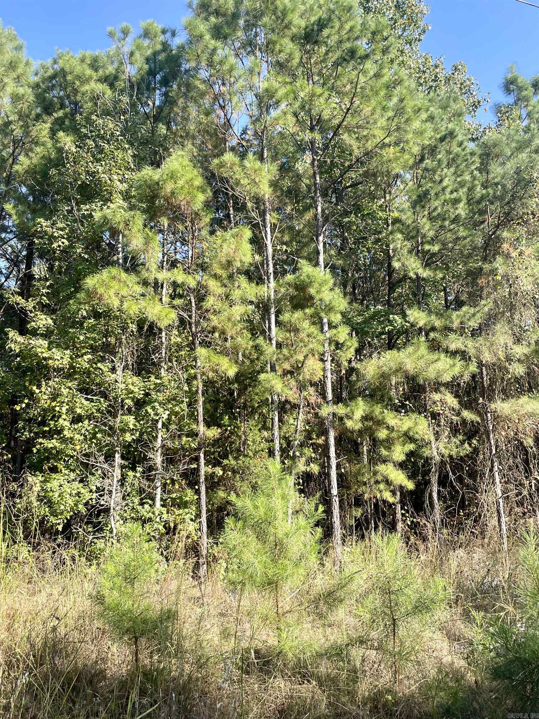 TBD  Miller County 186  Doddridge, AR