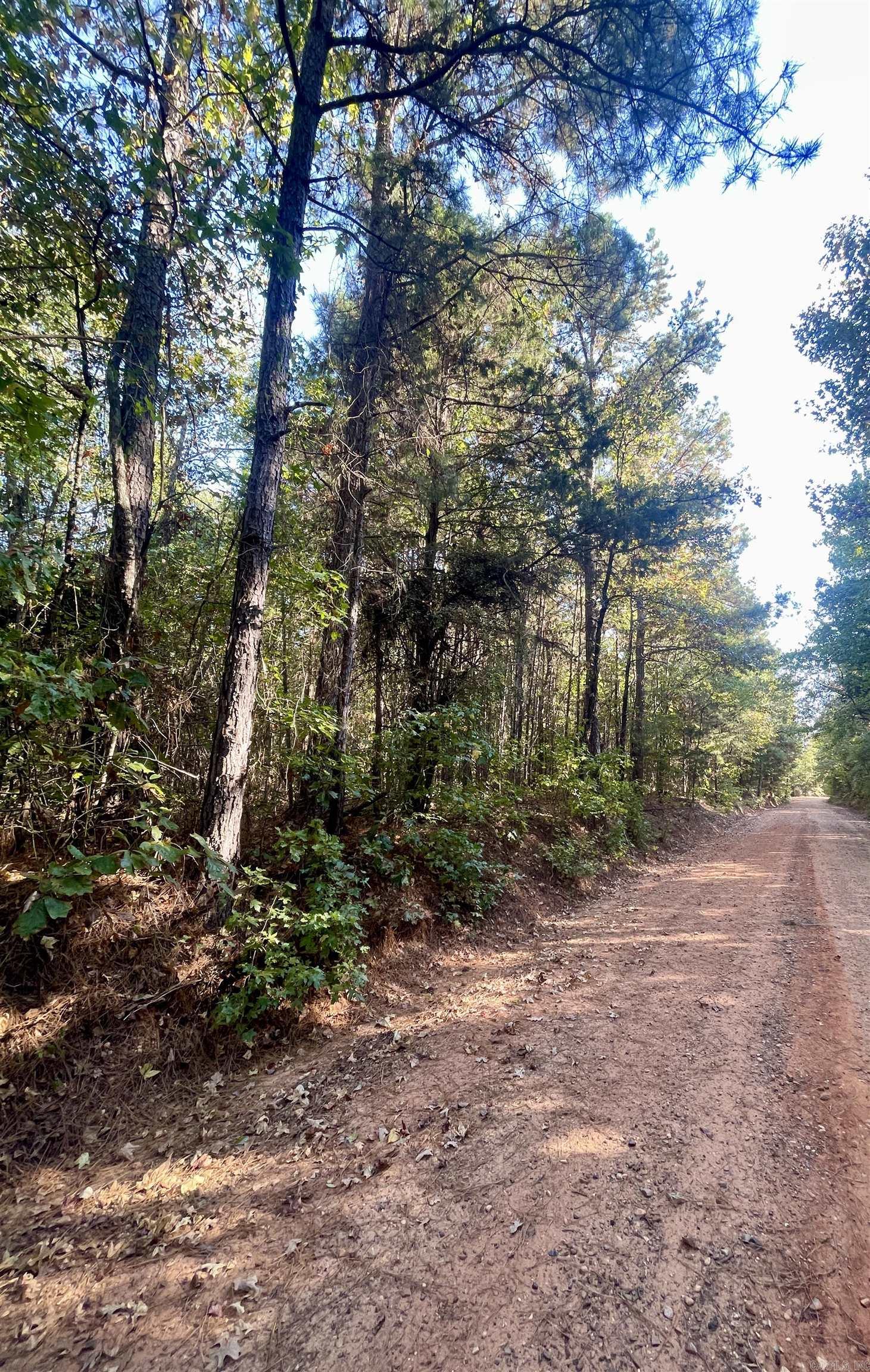 TBD  Miller County 186  Doddridge, AR