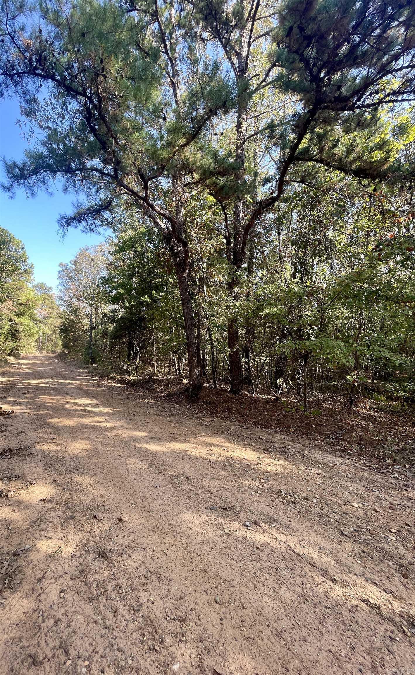 TBD  Miller County 186  Doddridge, AR