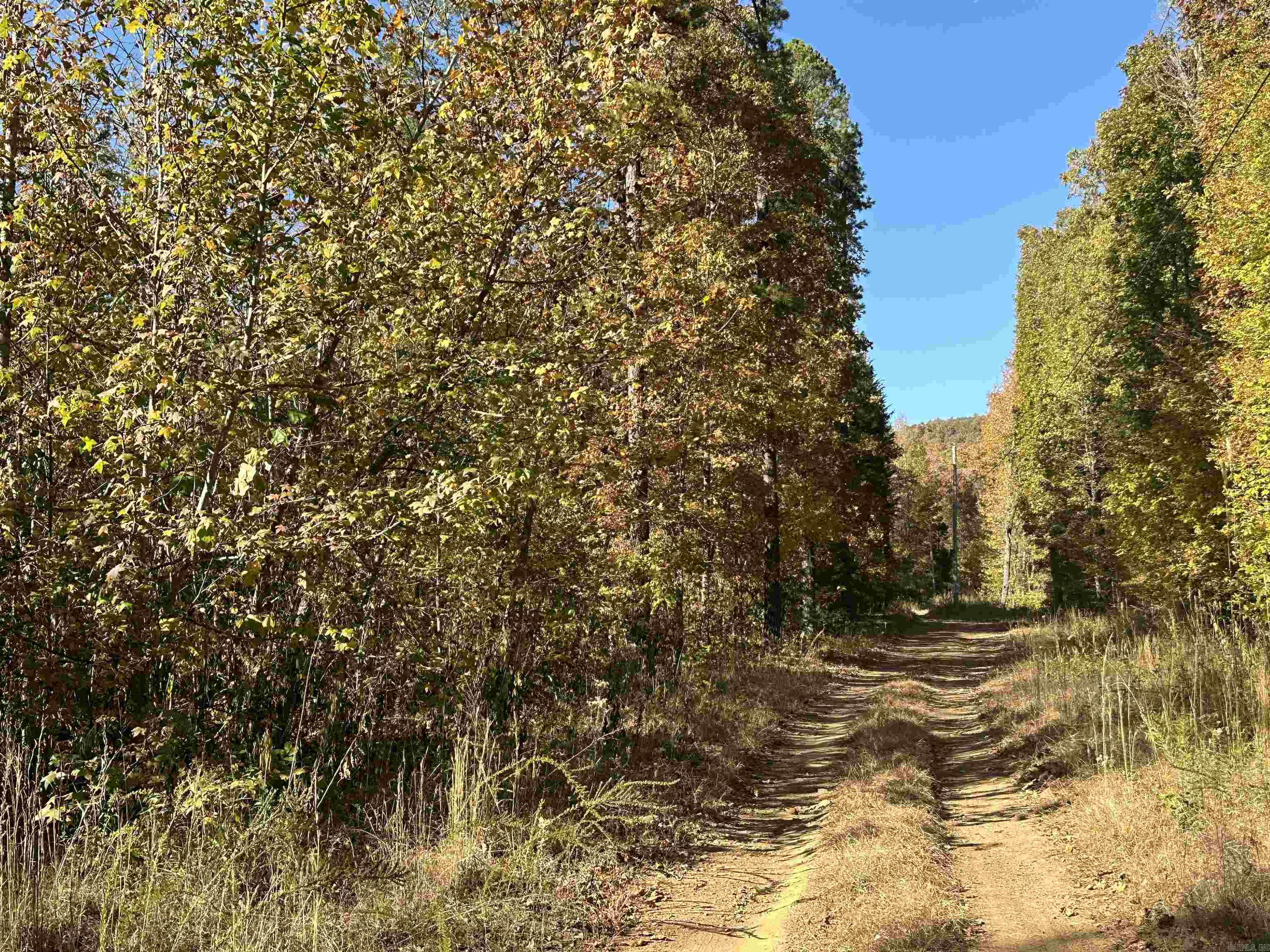 1917  Little Red River Rd  Marshall, AR