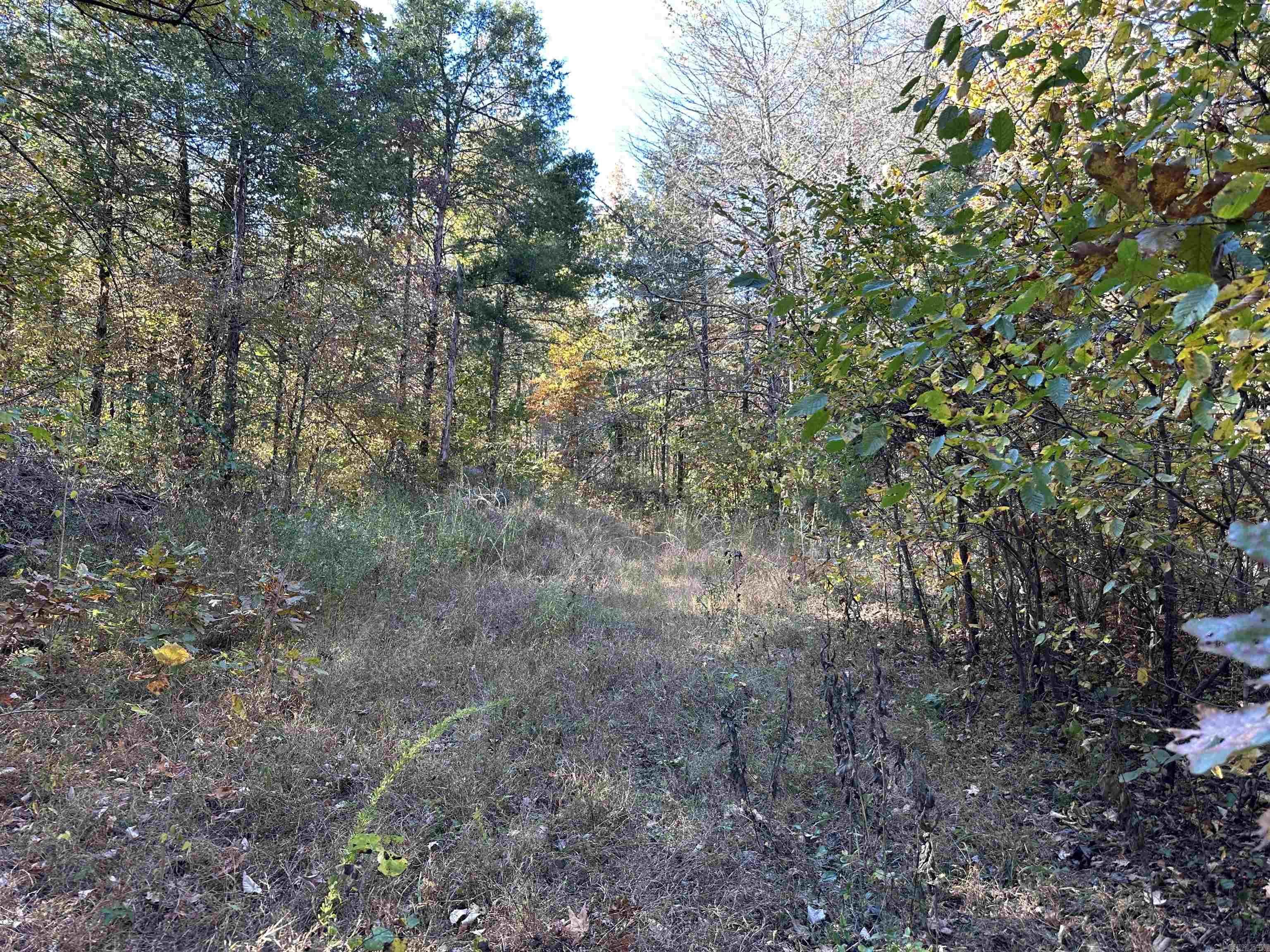 1917  Little Red River Rd  Marshall, AR