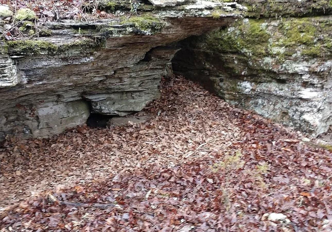 1917  Little Red River Rd  Marshall, AR